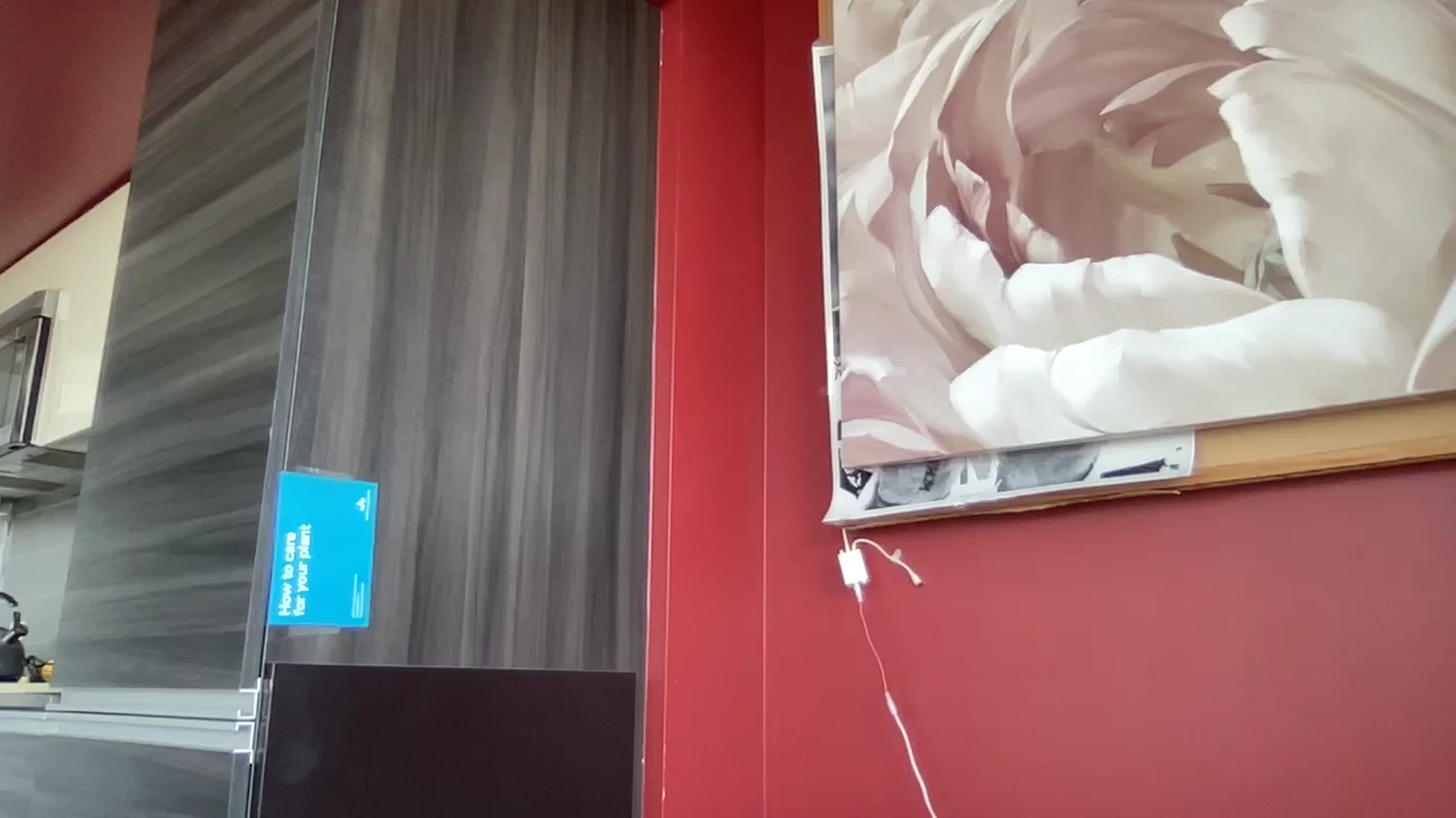Gallery image thumbnail from EmiliaBrooks's myfreecams stream on, 07/30/2024, 21:34 image 20 of 20