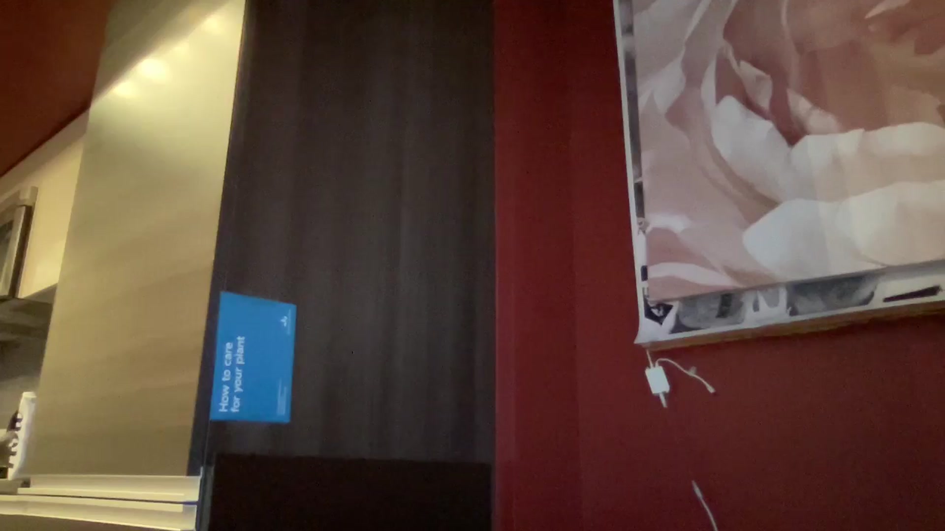Gallery image thumbnail from EmiliaBrooks's myfreecams stream on, 09/05/2024, 24:23 image 17 of 20