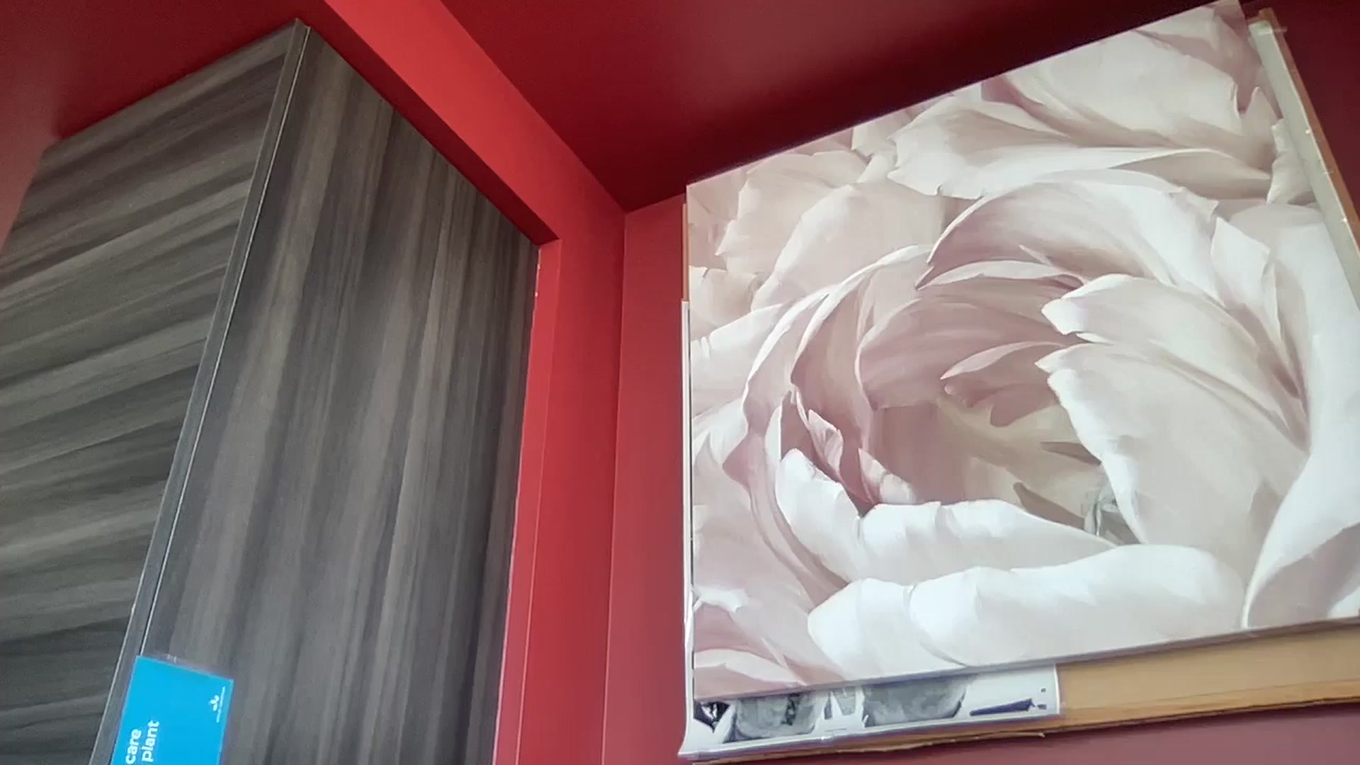 Gallery image thumbnail from EmiliaBrooks's myfreecams stream on, 10/21/2024, 18:20 image 13 of 20