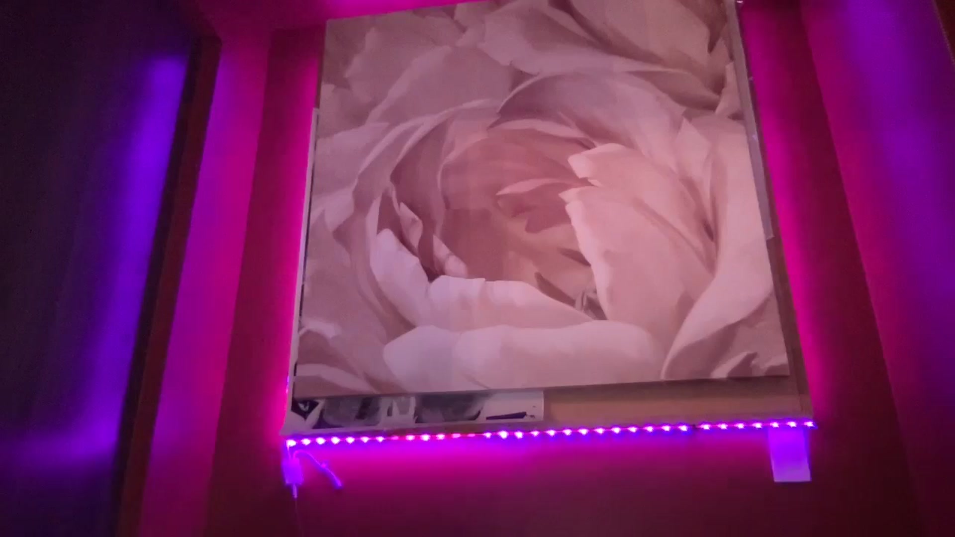 Gallery image thumbnail from EmiliaBrooks's myfreecams stream on, 11/16/2024, 24:05 image 18 of 20