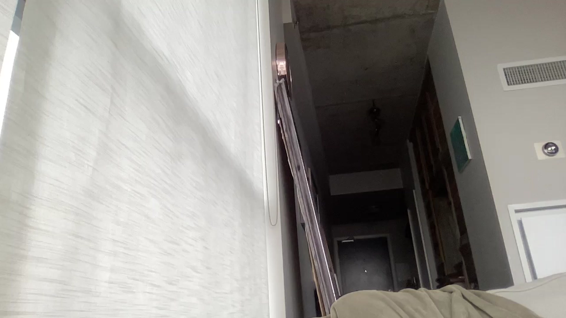 Gallery image thumbnail from EmiliaBrooks's myfreecams stream on, 03/25/2025, 22:53 image 13 of 20
