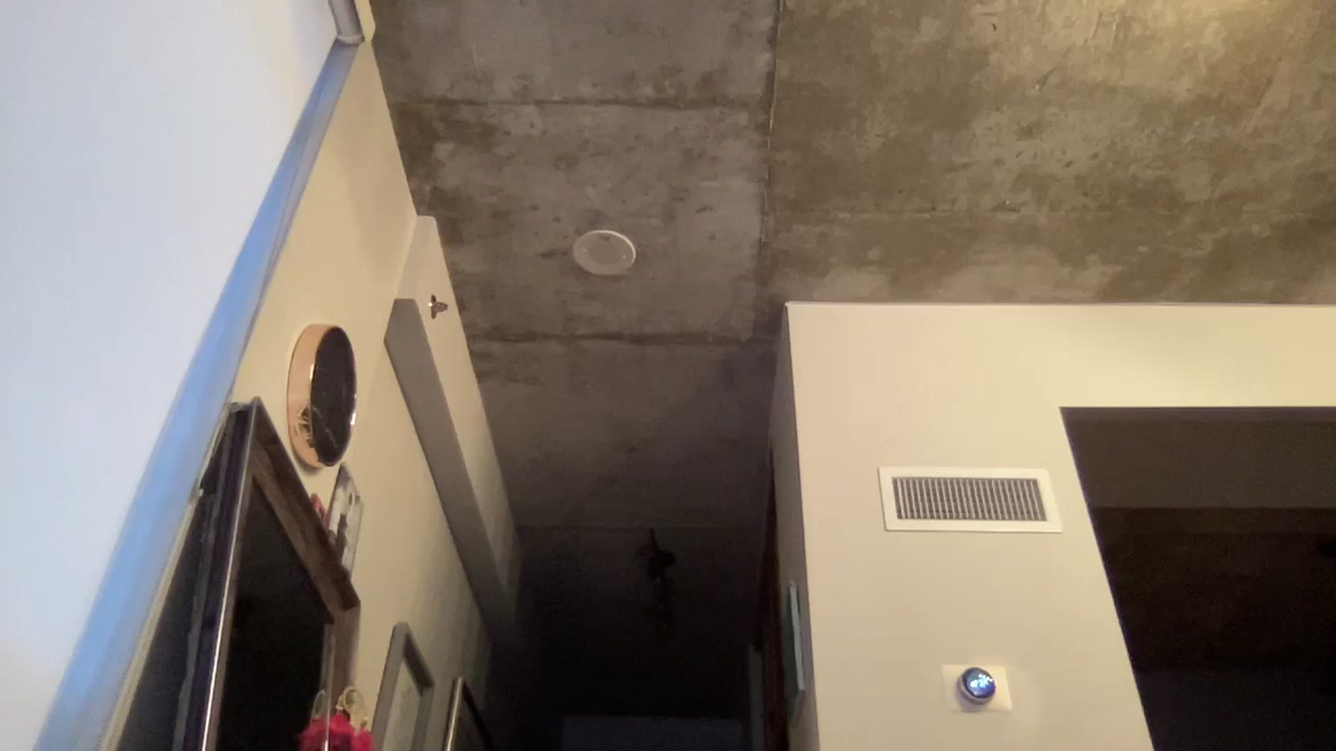 Gallery image thumbnail from EmiliaBrooks's myfreecams stream on, 04/16/2025, 24:32 image 10 of 20