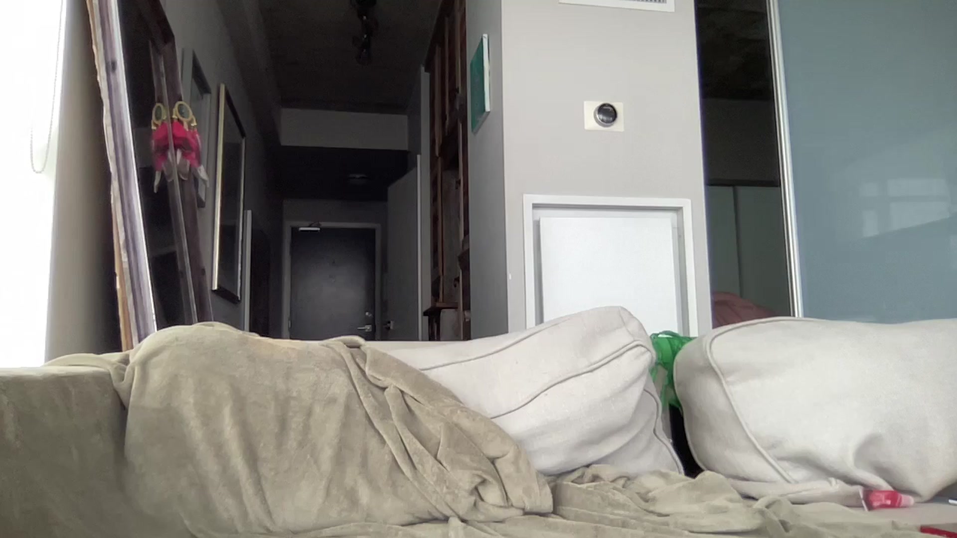 Gallery image thumbnail from EmiliaBrooks's myfreecams stream on, 04/29/2025, 23:07 image 9 of 20