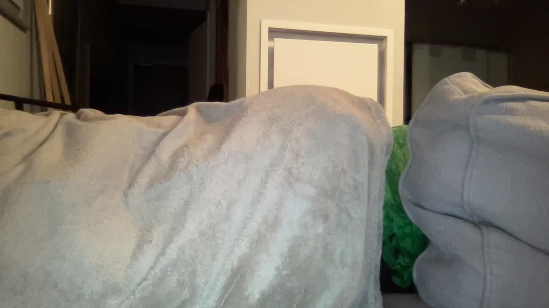 Gallery image thumbnail from EmiliaBrooks's myfreecams stream on, 07/01/2025, 02:13 image 13 of 20