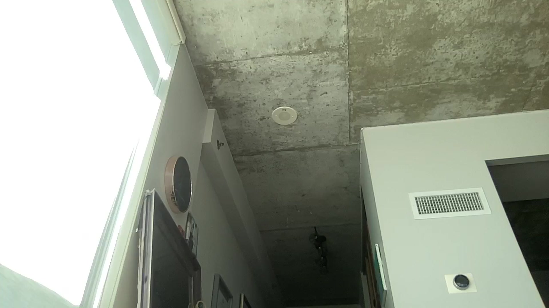 Gallery image thumbnail from EmiliaBrooks's myfreecams stream on, 08/30/2025, 14:58 image 13 of 20