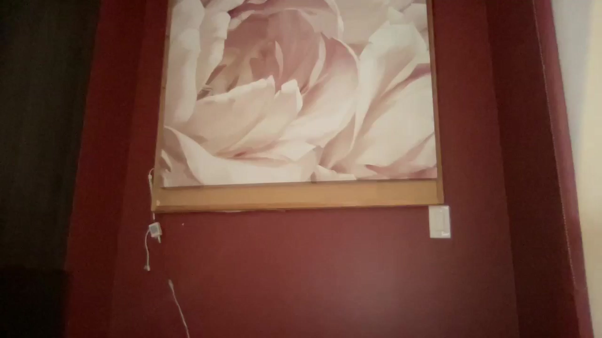 Gallery image thumbnail from EmiliaBrooks's myfreecams stream on, 10/31/2025, 23:48 image 5 of 20