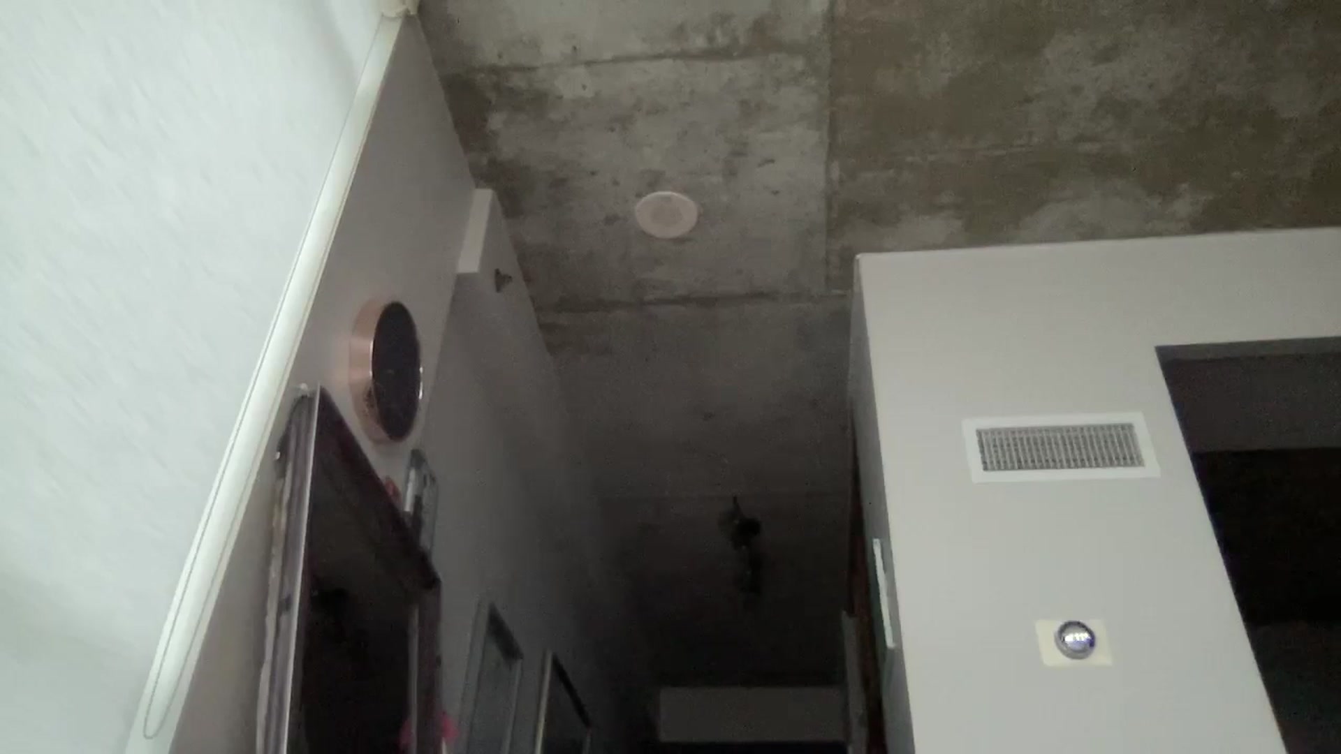Gallery image thumbnail from EmiliaBrooks's myfreecams stream on, 11/07/2025, 20:55 image 16 of 20