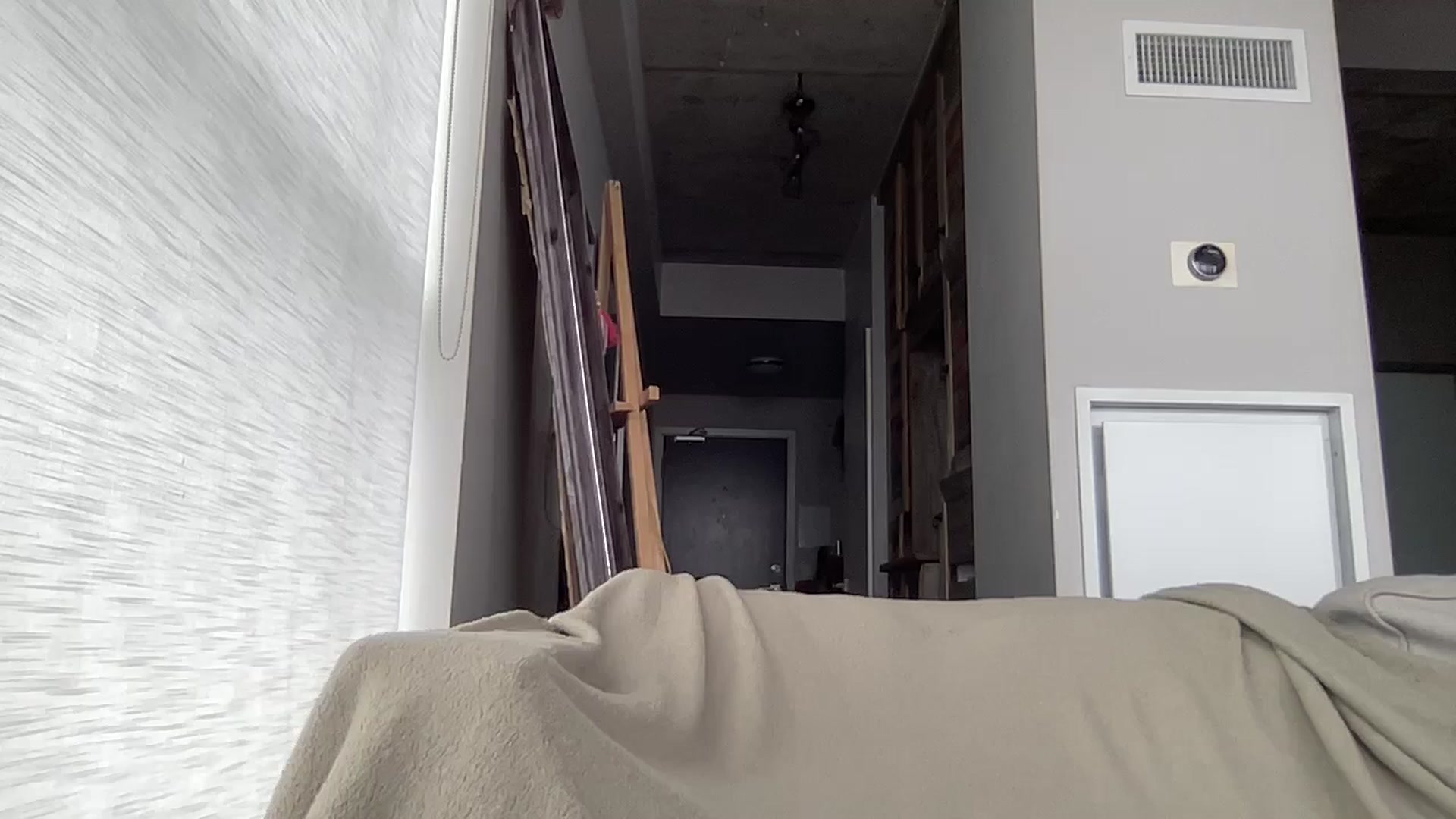 Gallery image thumbnail from EmiliaBrooks's myfreecams stream on, 02/23/2026, 14:57 image 7 of 20