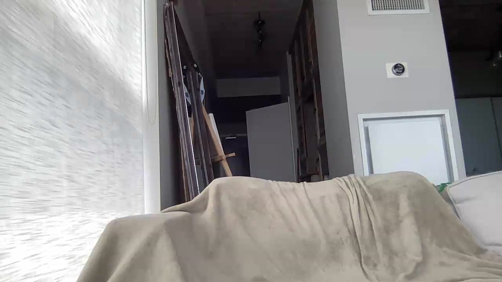 Gallery image thumbnail from EmiliaBrooks's myfreecams stream on, 06/12/2026, 17:03 image 4 of 20