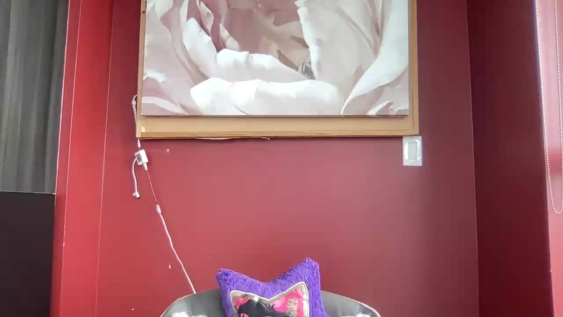 Gallery image thumbnail from EmiliaBrooks's myfreecams stream on, 06/25/2026, 19:04 image 8 of 20