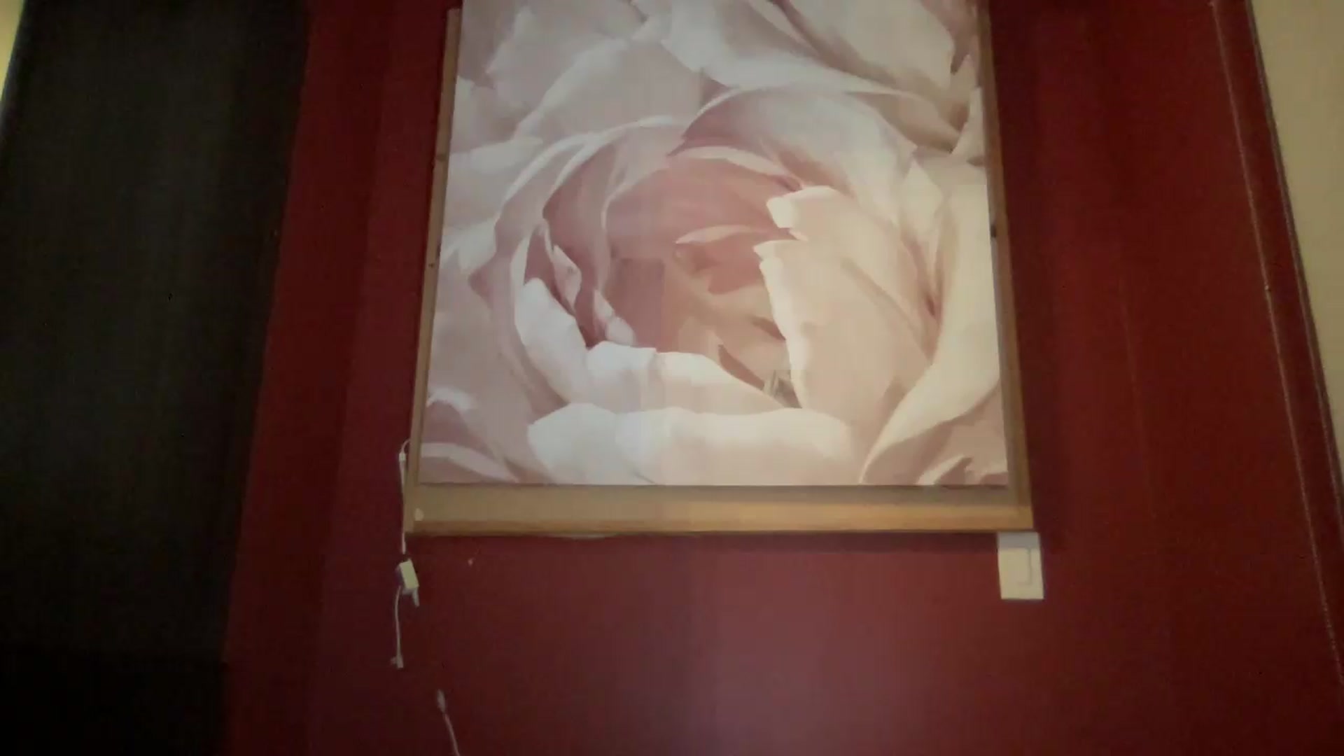Gallery image thumbnail from EmiliaBrooks's myfreecams stream on, 07/01/2026, 06:05 image 14 of 20