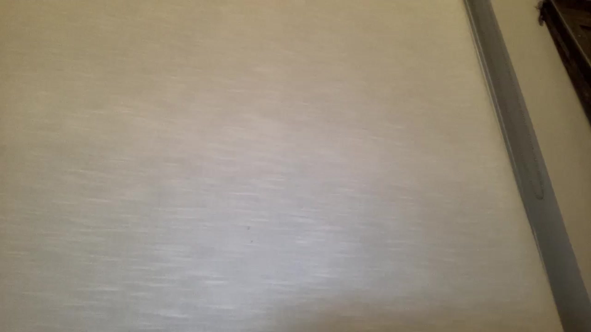 Gallery image thumbnail from EmiliaBrooks's myfreecams stream on, 08/08/2026, 04:23 image 15 of 20