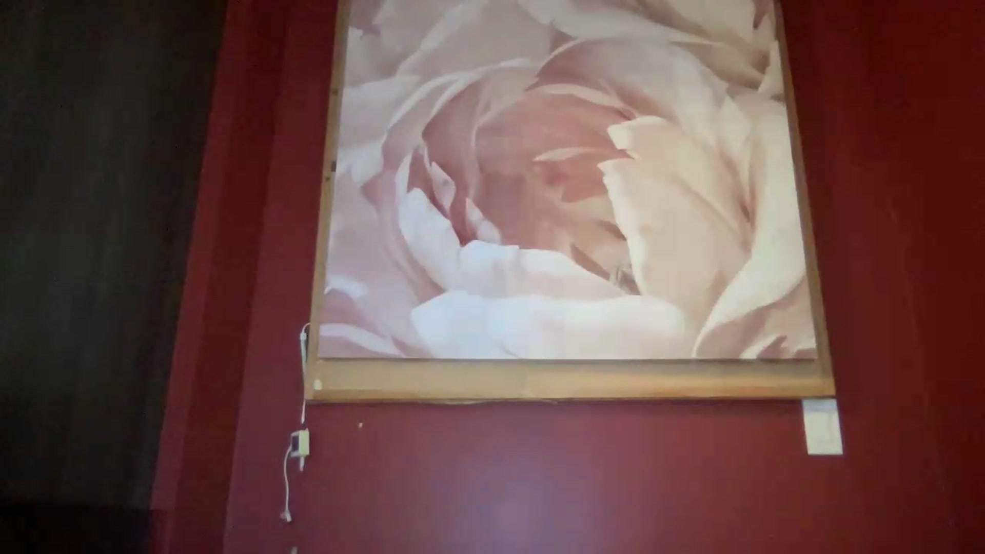 Gallery image thumbnail from EmiliaBrooks's myfreecams stream on, 09/01/2026, 03:51 image 3 of 20