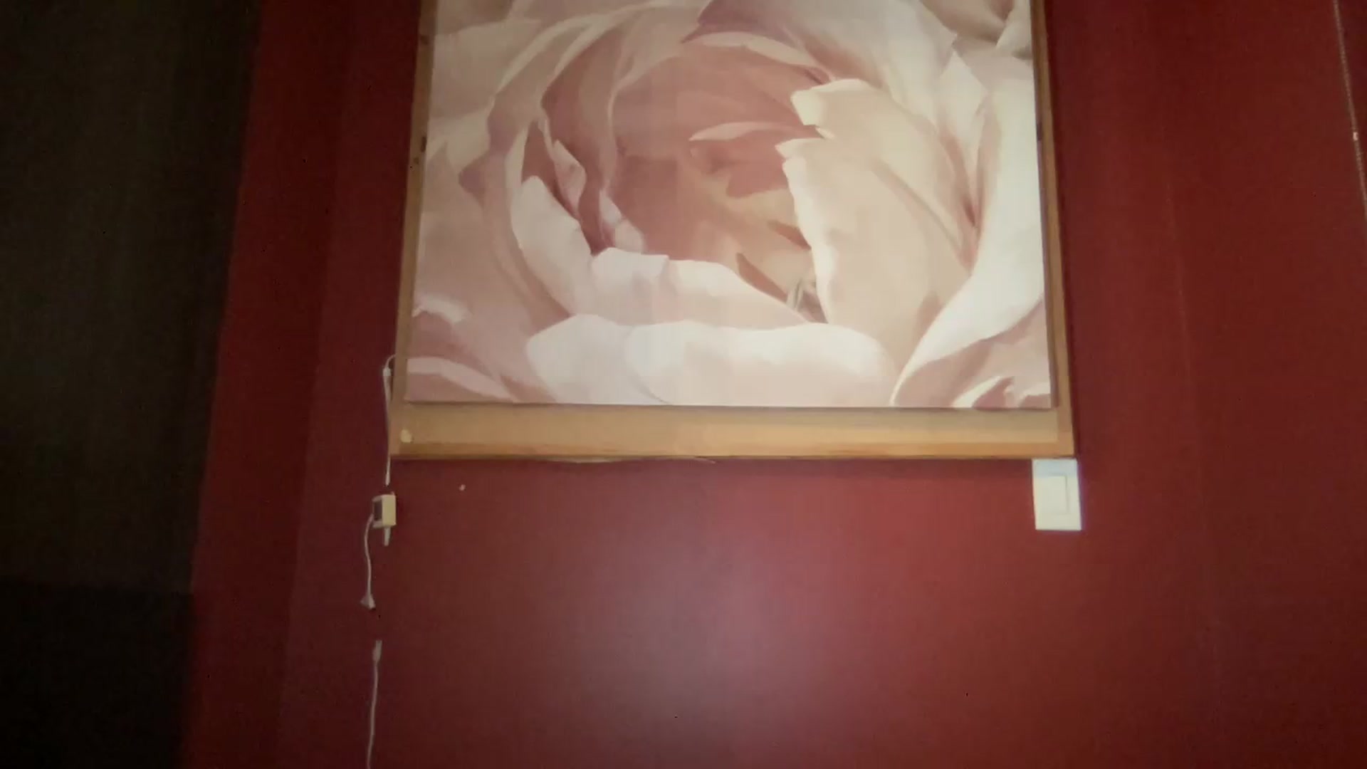 Gallery image thumbnail from EmiliaBrooks's myfreecams stream on, 09/05/2026, 04:55 image 11 of 20