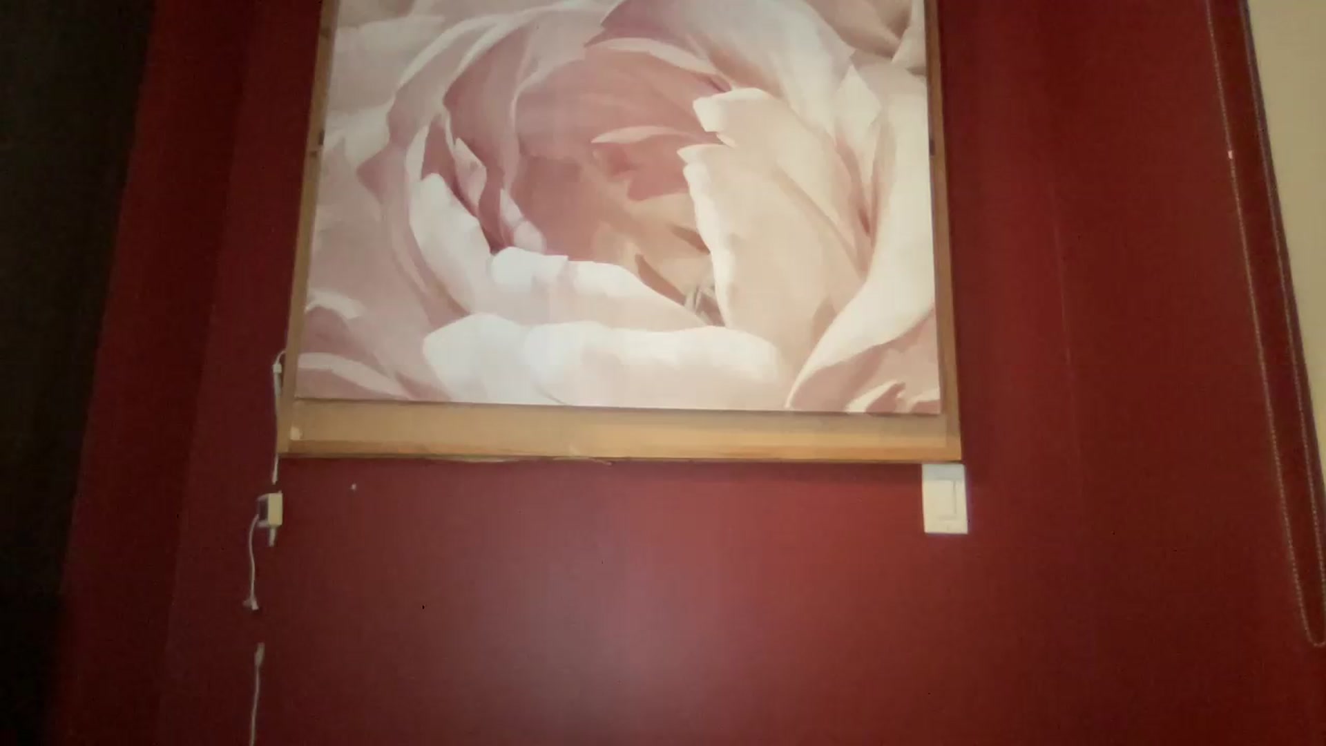Gallery image thumbnail from EmiliaBrooks's myfreecams stream on, 09/05/2026, 04:55 image 6 of 20