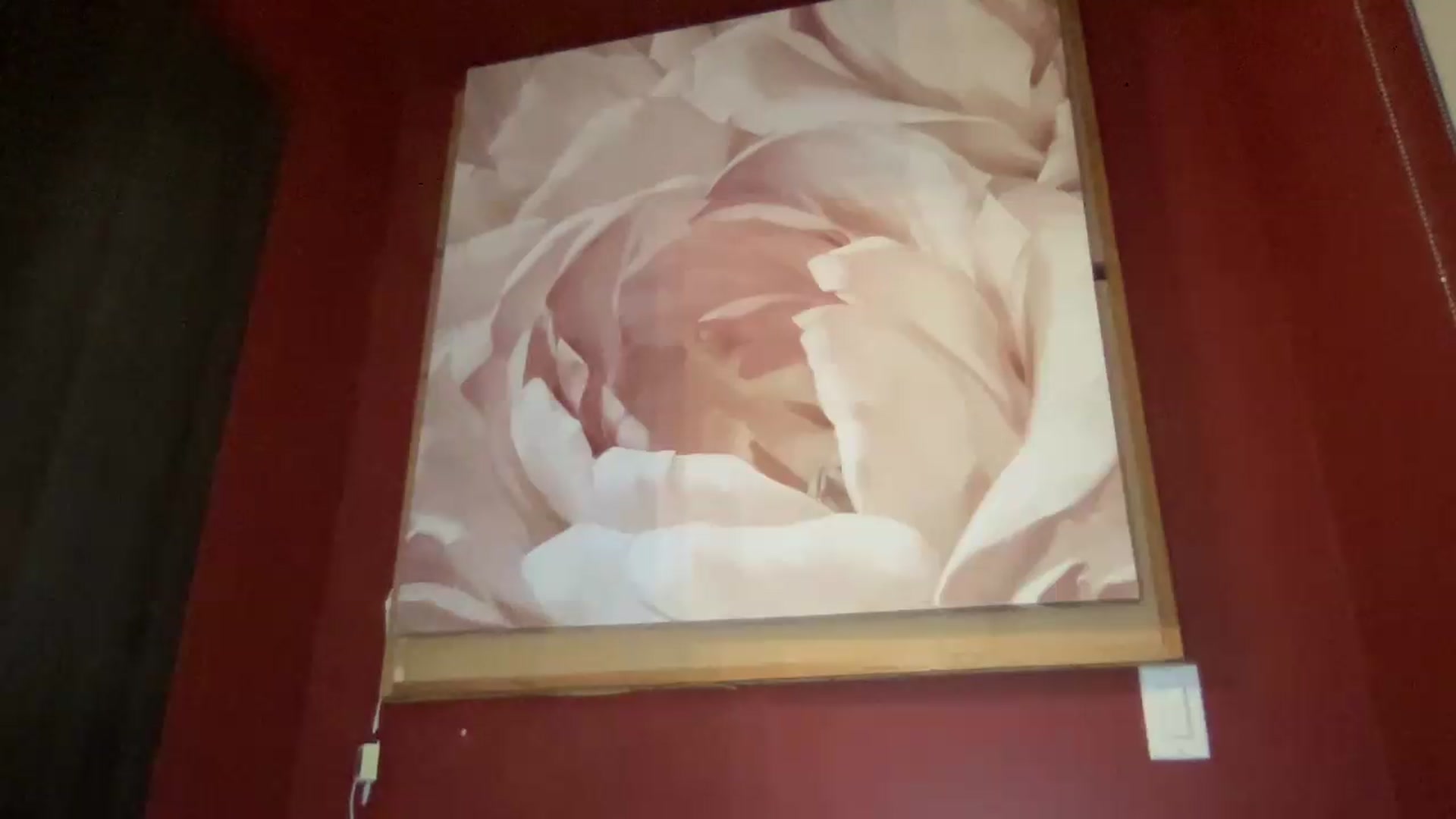 Gallery image thumbnail from EmiliaBrooks's myfreecams stream on, 09/10/2026, 24:53 image 3 of 20