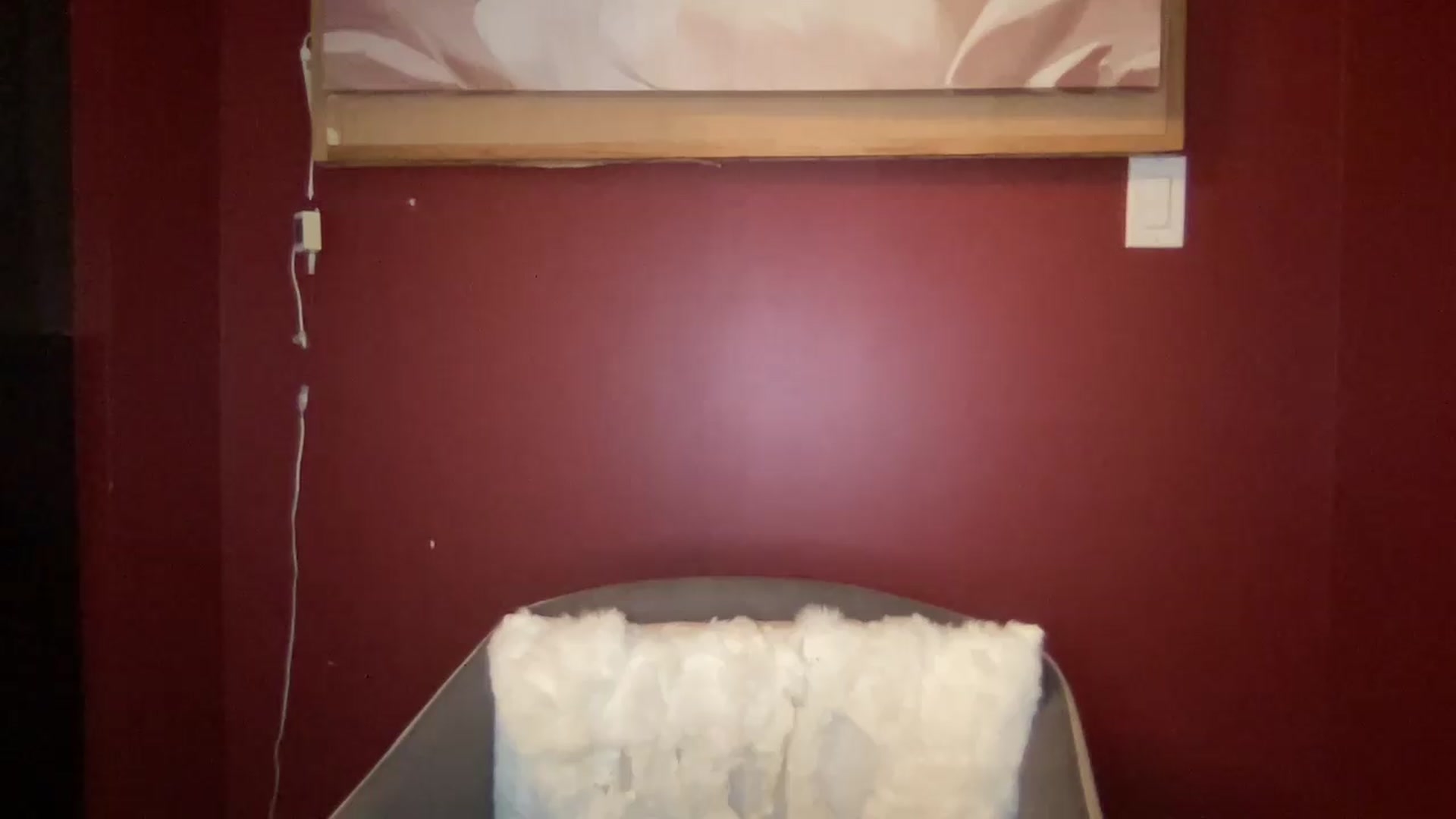 Gallery image thumbnail from EmiliaBrooks's myfreecams stream on, 09/14/2026, 02:27 image 18 of 20