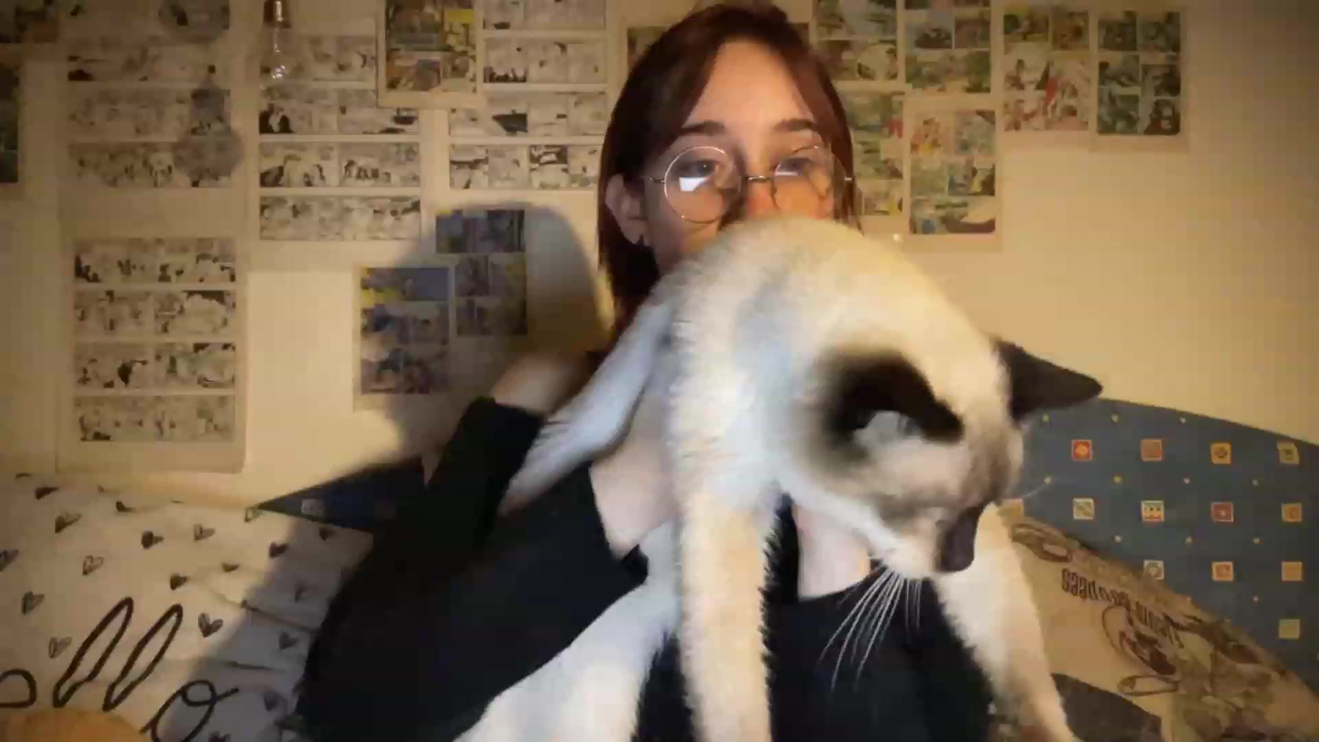 Gallery image thumbnail from Emiliaaaaa's myfreecams stream on, 11/26/2023, 22:48 image 6 of 20