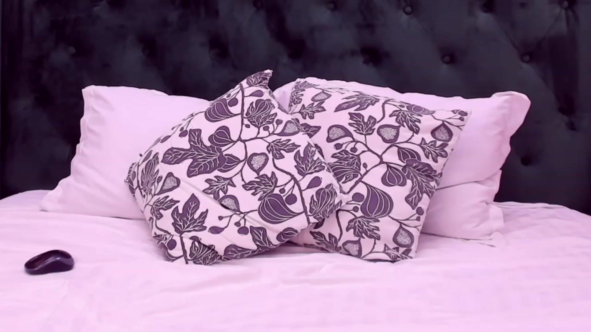 Gallery image thumbnail from EmillyBronte's myfreecams stream on, 06/19/2023, 02:20 image 9 of 20