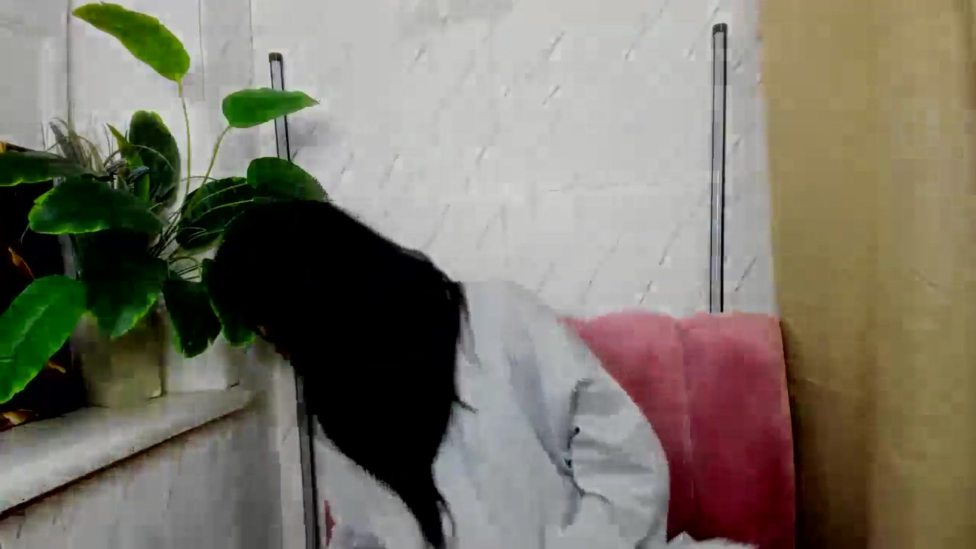 Gallery image thumbnail from EmilyJones's myfreecams stream on, 11/26/2024, 11:45 image 10 of 20