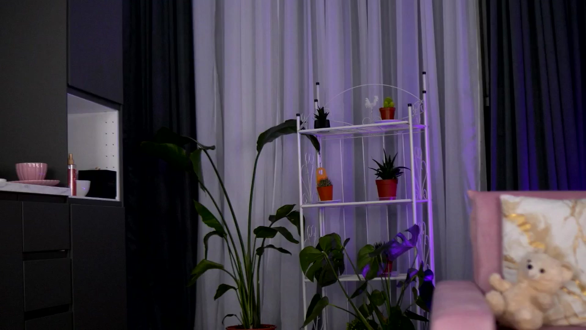 Gallery image thumbnail from EmilyRaymont's myfreecams stream on, 04/15/2025, 24:14 image 10 of 20
