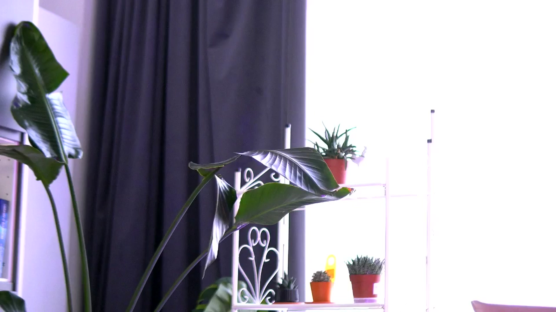 Gallery image thumbnail from EmilyRaymont's myfreecams stream on, 06/24/2025, 04:06 image 12 of 20