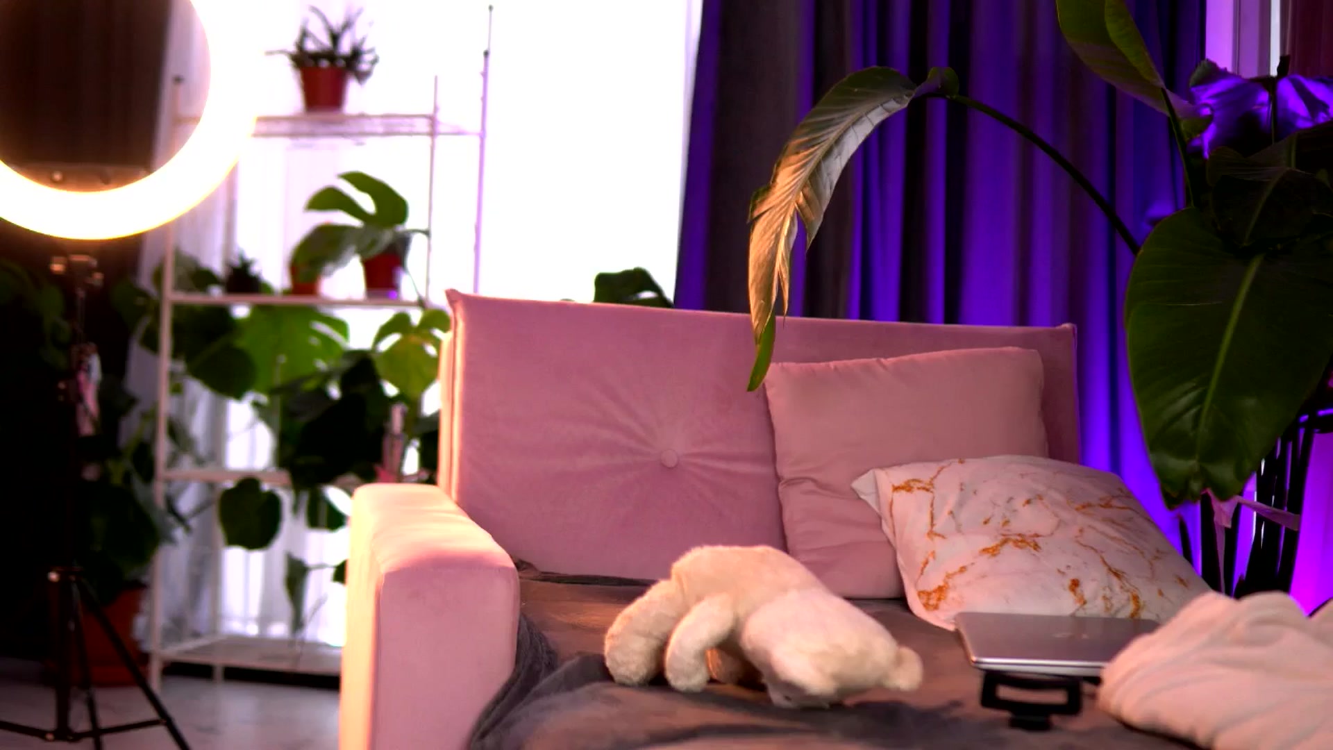 Gallery image thumbnail from EmilyRaymont's myfreecams stream on, 08/10/2025, 14:02 image 2 of 20