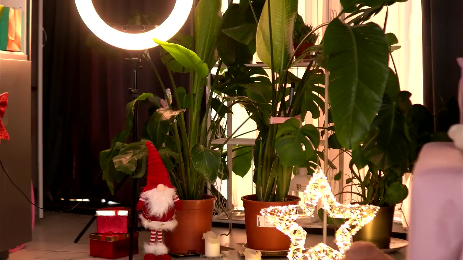 Gallery image thumbnail from EmilyRaymont's myfreecams stream on, 12/19/2025, 07:20 image 3 of 20