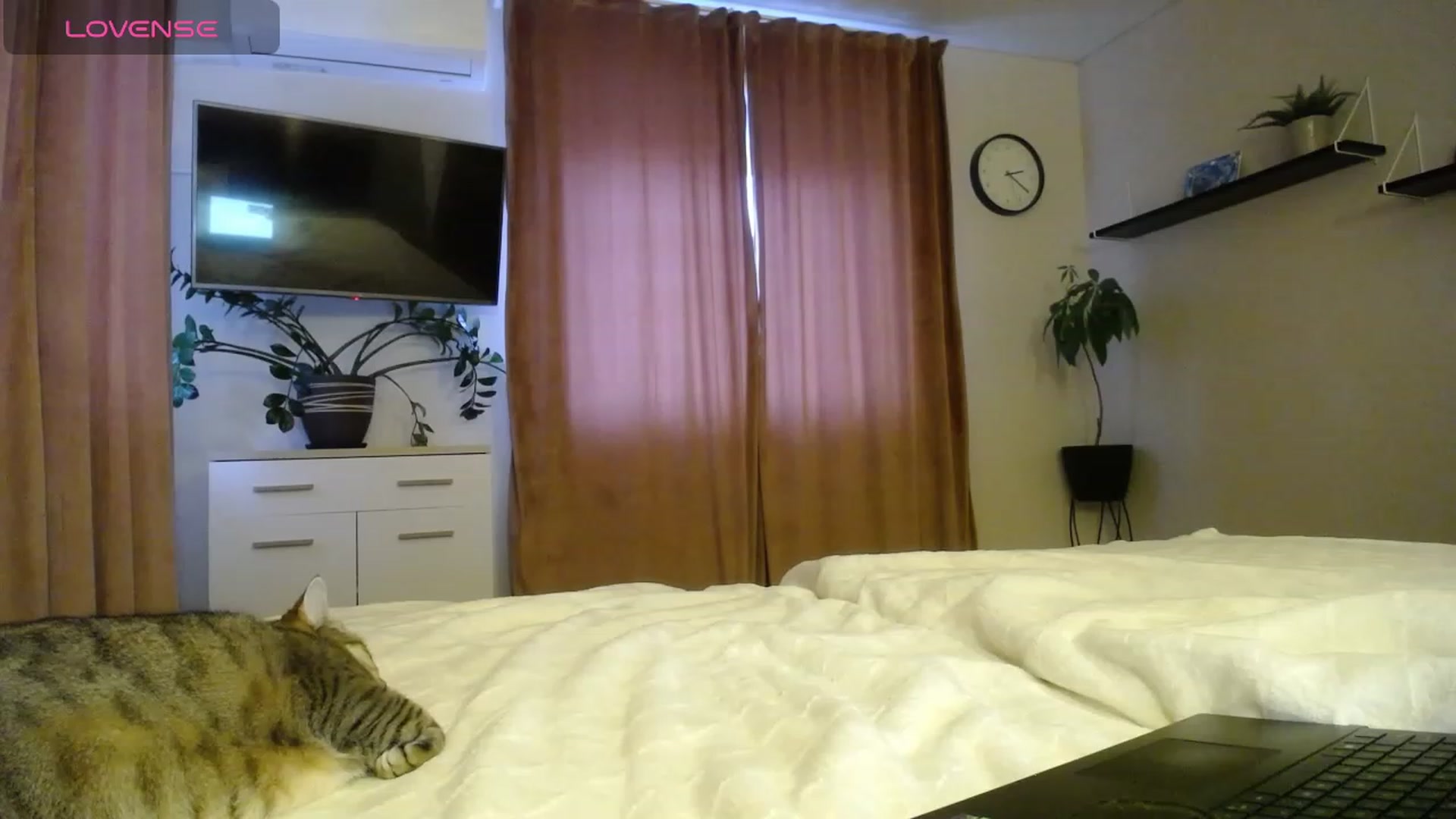 Gallery image thumbnail from EmilyTease's myfreecams stream on, 11/24/2023, 12:49 image 5 of 20