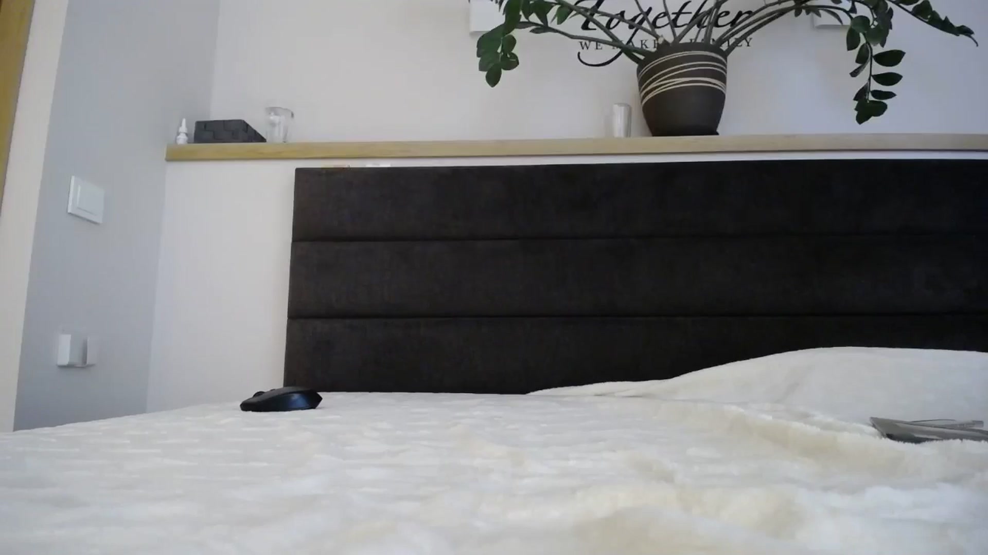 Gallery image thumbnail from EmilyTease's myfreecams stream on, 11/21/2024, 12:30 image 20 of 20