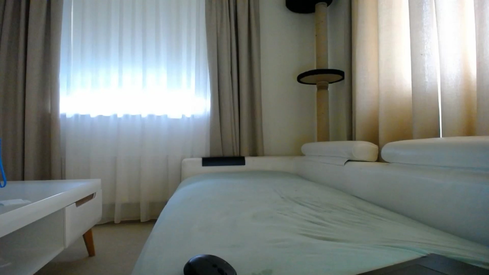 Gallery image thumbnail from EmilyTease's myfreecams stream on, 08/25/2025, 13:39 image 1 of 20