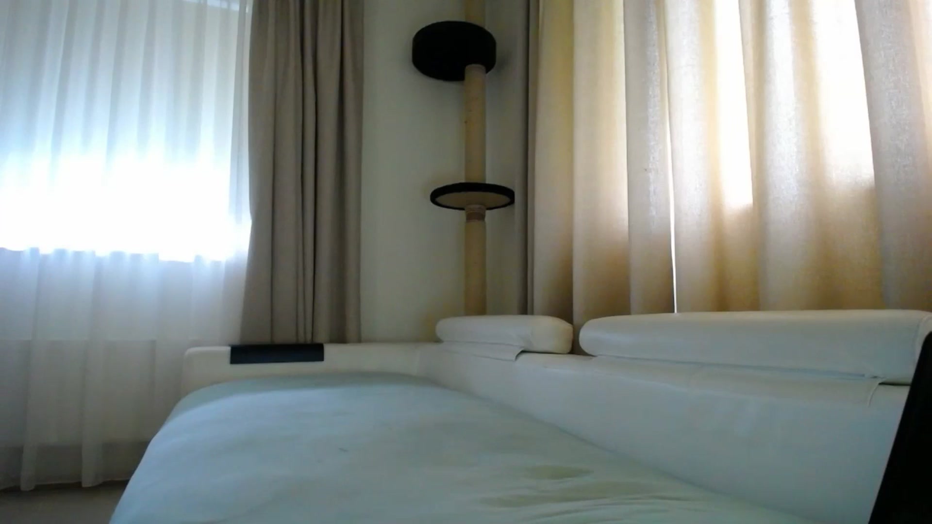 Gallery image thumbnail from EmilyTease's myfreecams stream on, 08/26/2025, 12:29 image 20 of 20