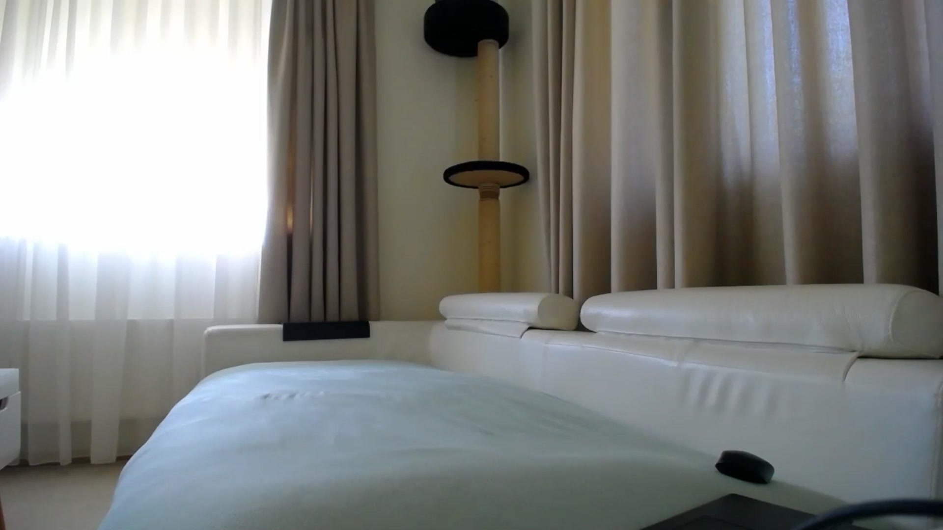 Gallery image thumbnail from EmilyTease's myfreecams stream on, 09/03/2025, 13:11 image 20 of 20