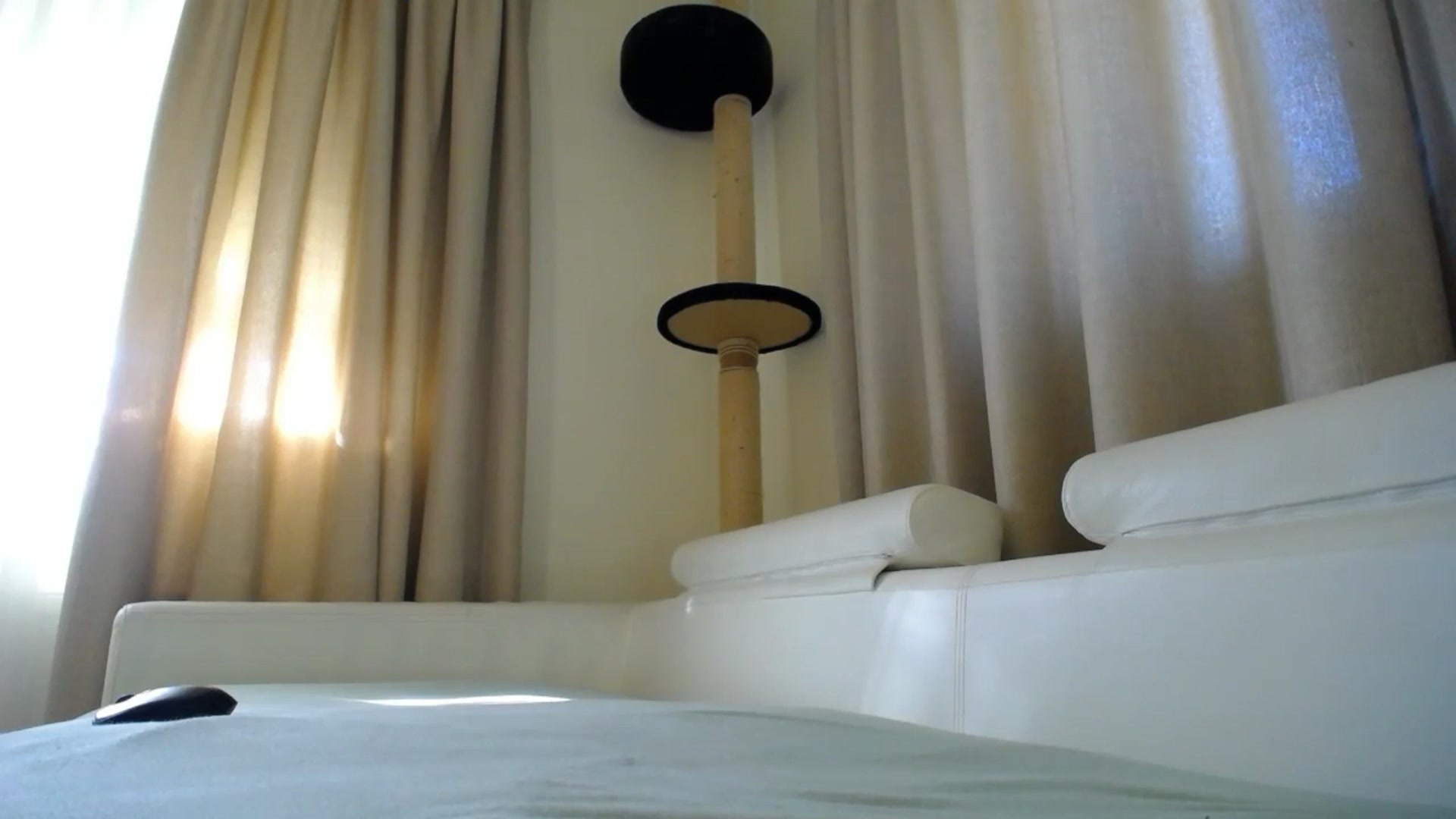Gallery image thumbnail from EmilyTease's myfreecams stream on, 10/08/2025, 12:20 image 17 of 20