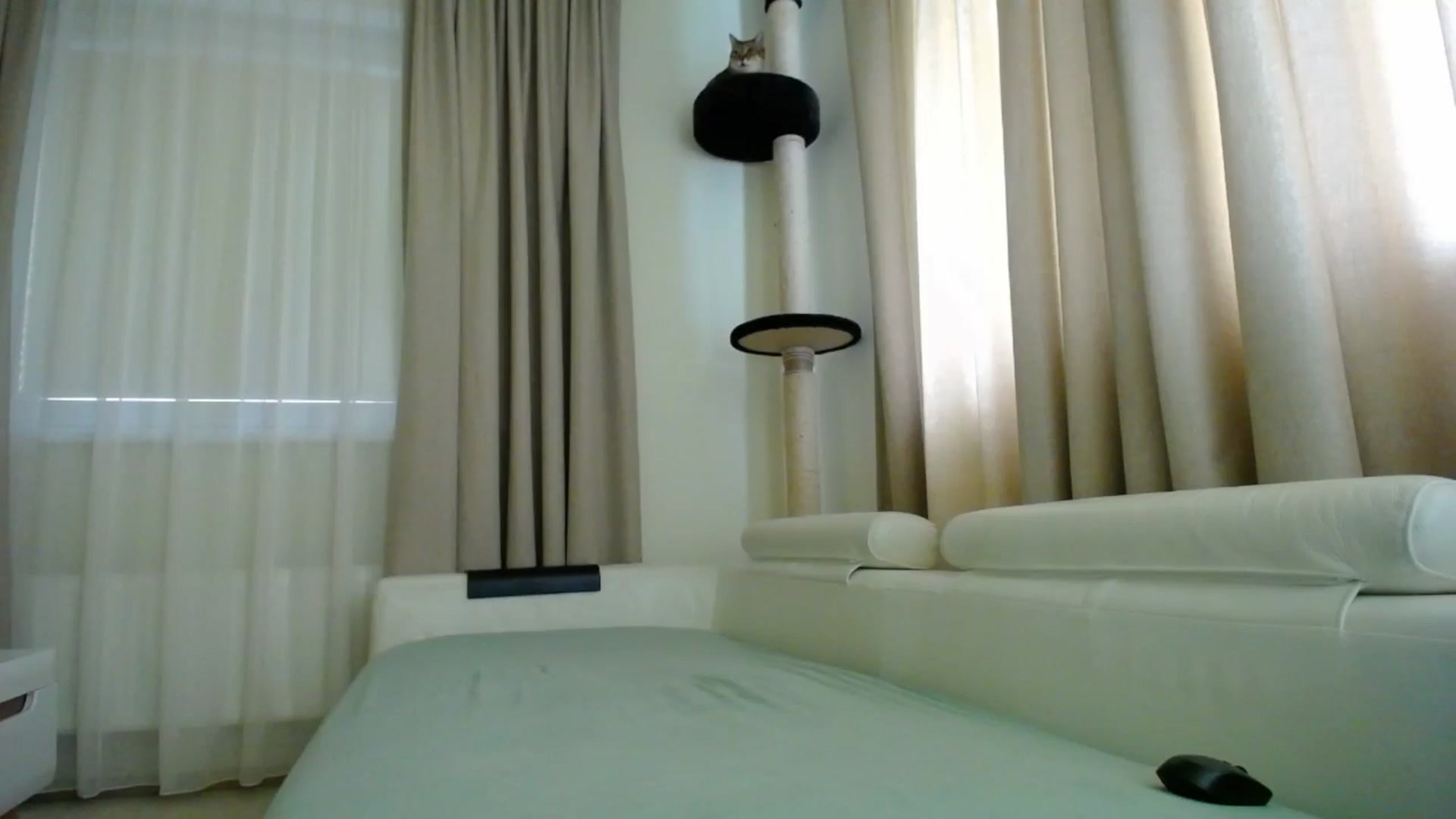 Gallery image thumbnail from EmilyTease's myfreecams stream on, 10/16/2025, 11:50 image 11 of 20
