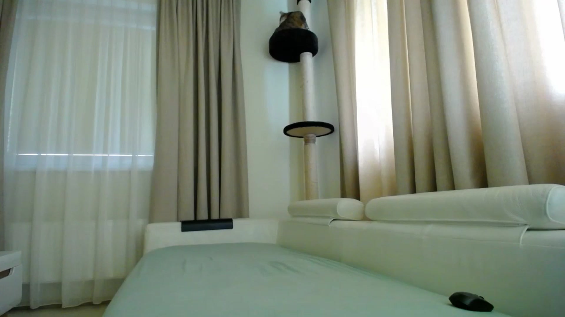 Gallery image thumbnail from EmilyTease's myfreecams stream on, 10/16/2025, 11:50 image 12 of 20