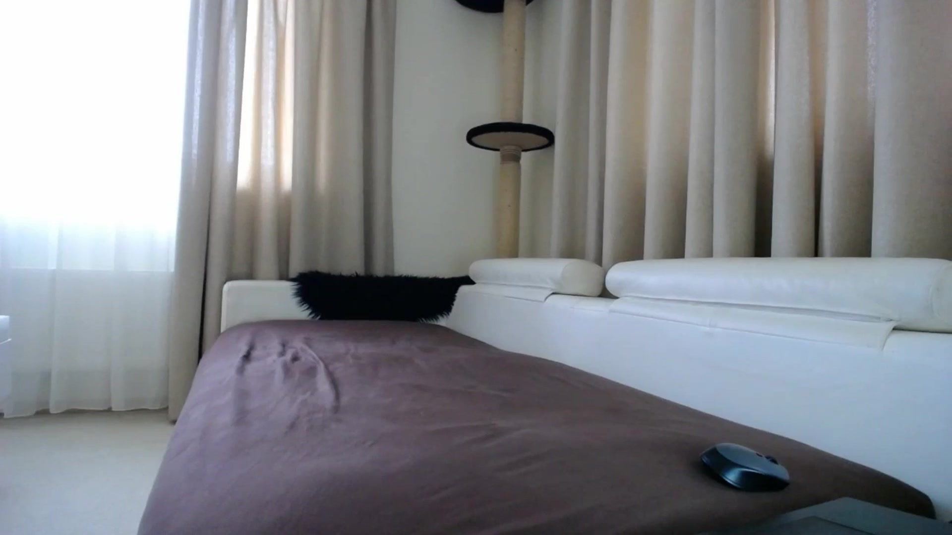 Gallery image thumbnail from EmilyTease's myfreecams stream on, 11/12/2025, 13:18 image 10 of 20