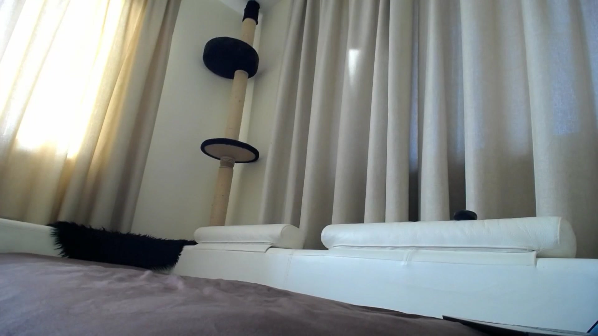 Gallery image thumbnail from EmilyTease's myfreecams stream on, 11/13/2025, 12:57 image 8 of 20