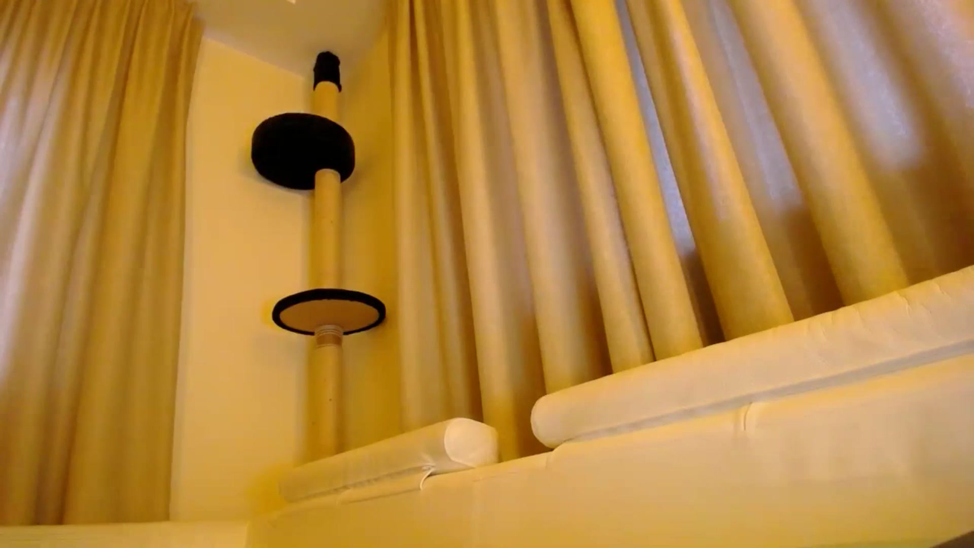 Gallery image thumbnail from EmilyTease's myfreecams stream on, 11/21/2025, 13:47 image 12 of 20