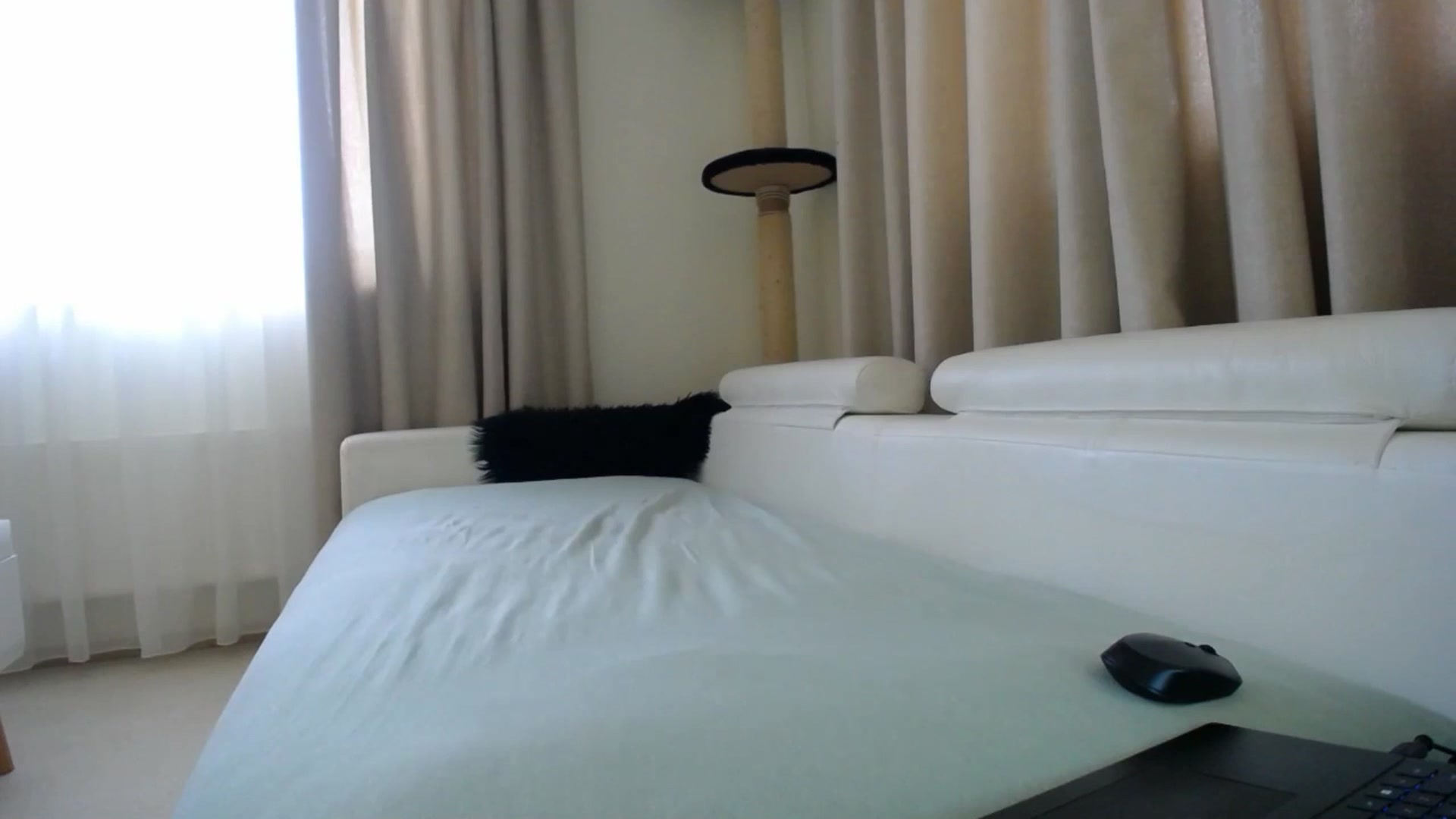 Gallery image thumbnail from EmilyTease's myfreecams stream on, 11/26/2025, 11:34 image 15 of 20