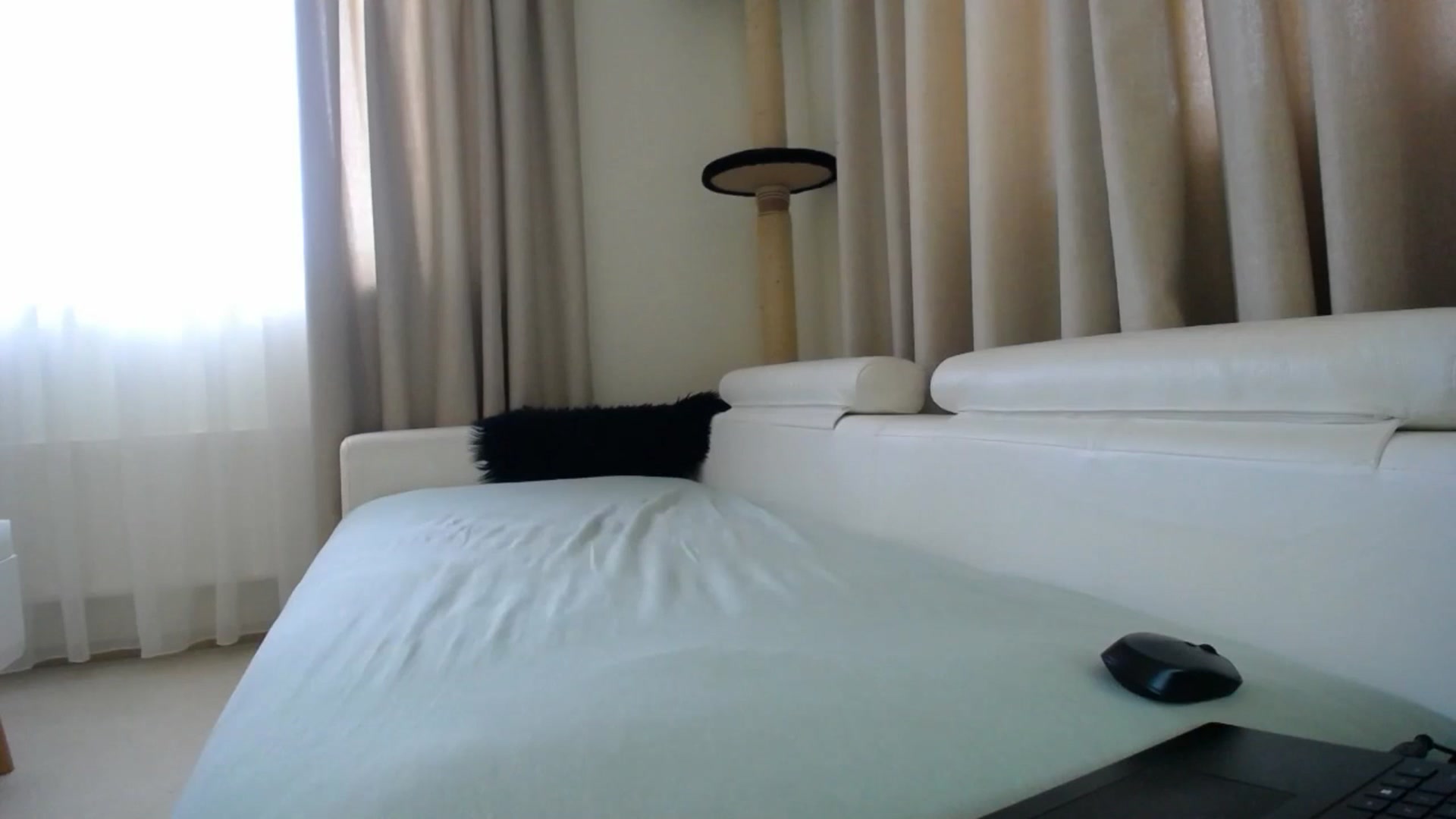 Gallery image thumbnail from EmilyTease's myfreecams stream on, 11/26/2025, 11:34 image 16 of 20