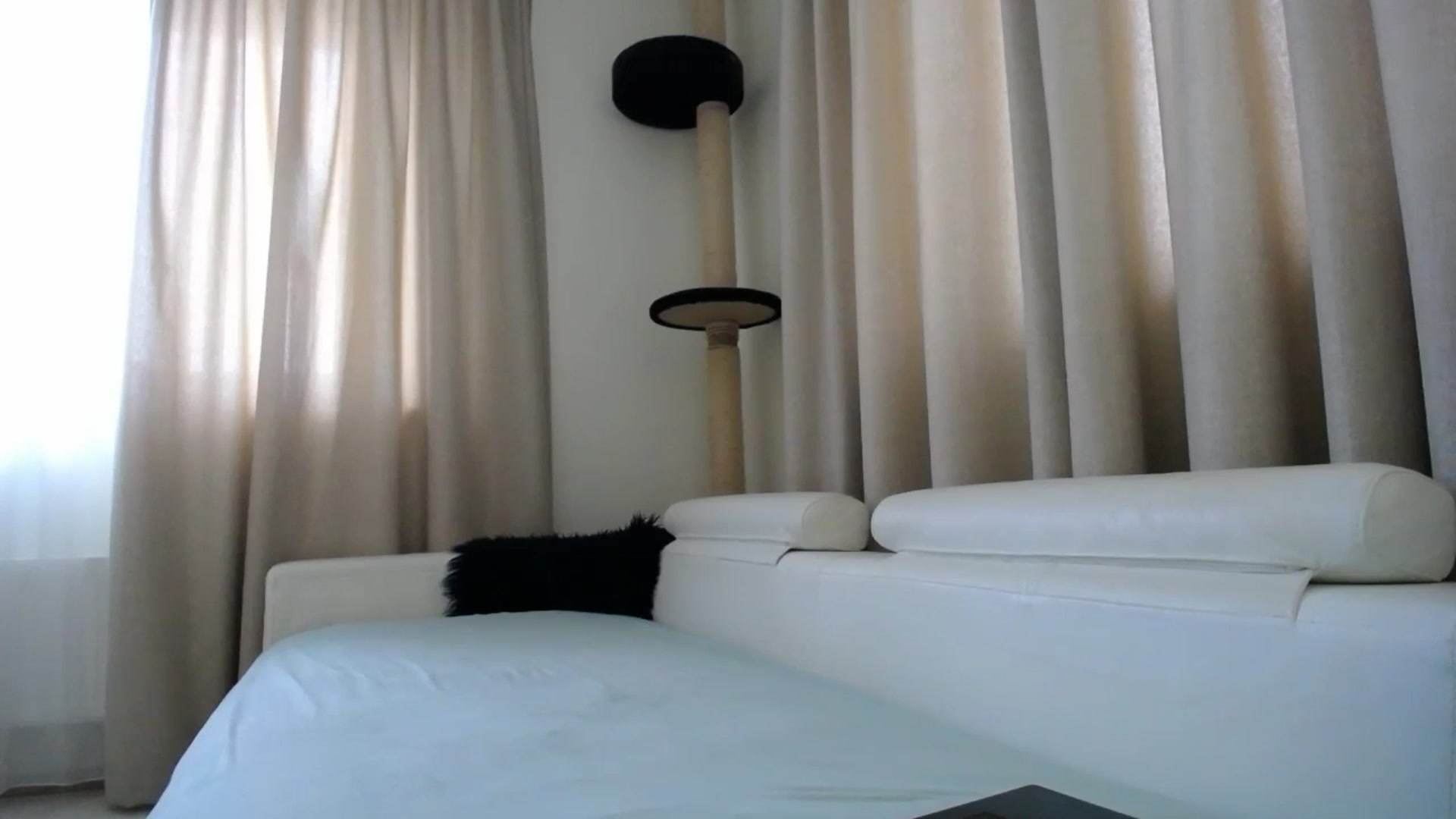 Gallery image thumbnail from EmilyTease's myfreecams stream on, 01/08/2026, 12:50 image 18 of 20