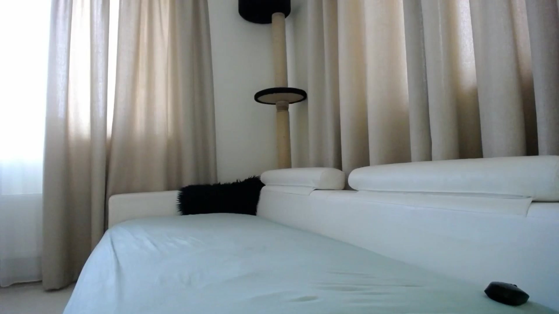 Gallery image thumbnail from EmilyTease's myfreecams stream on, 01/09/2026, 12:27 image 9 of 20
