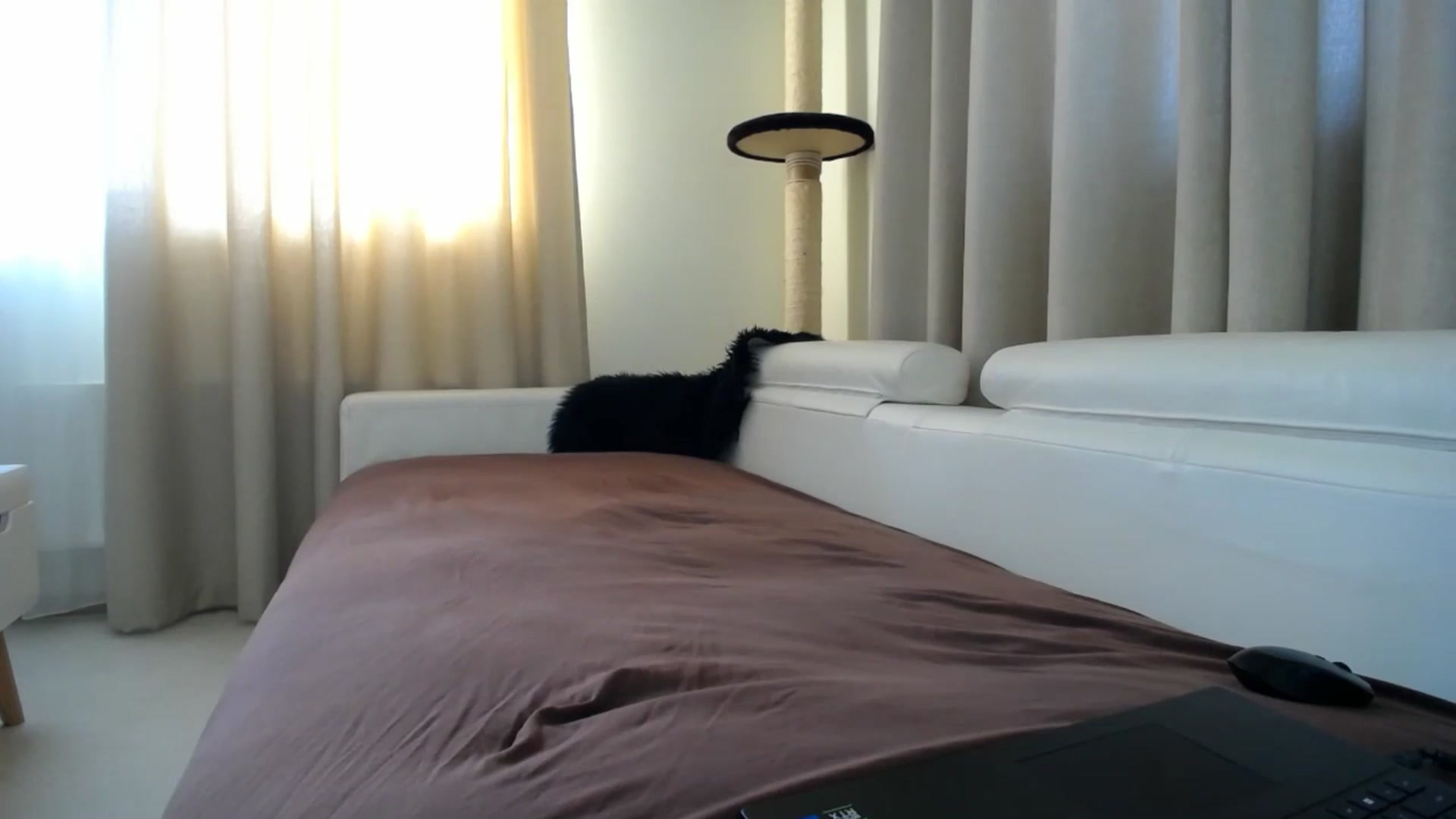 Gallery image thumbnail from EmilyTease's myfreecams stream on, 01/12/2026, 12:18 image 3 of 20