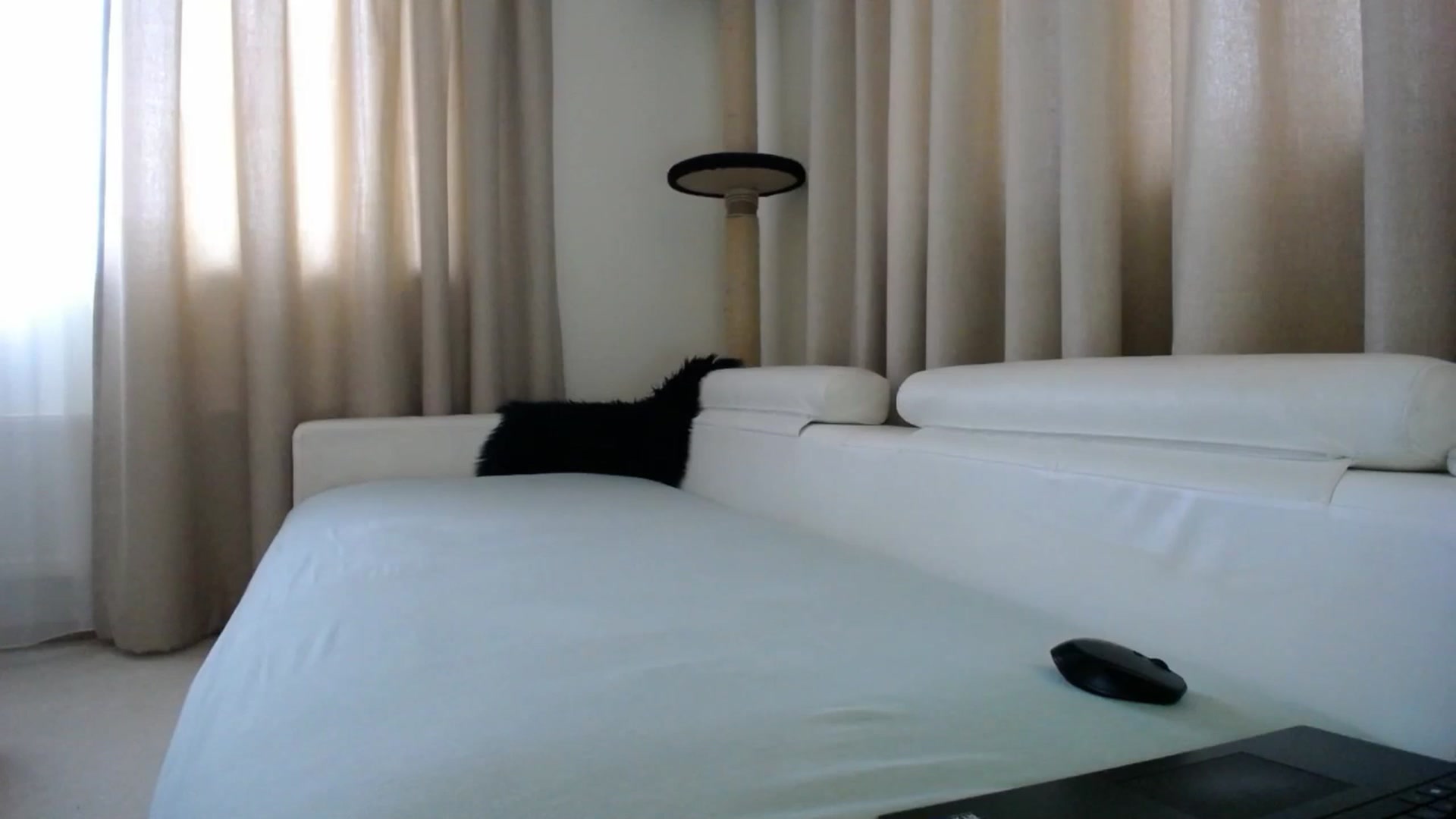 Gallery image thumbnail from EmilyTease's myfreecams stream on, 01/13/2026, 14:12 image 8 of 20