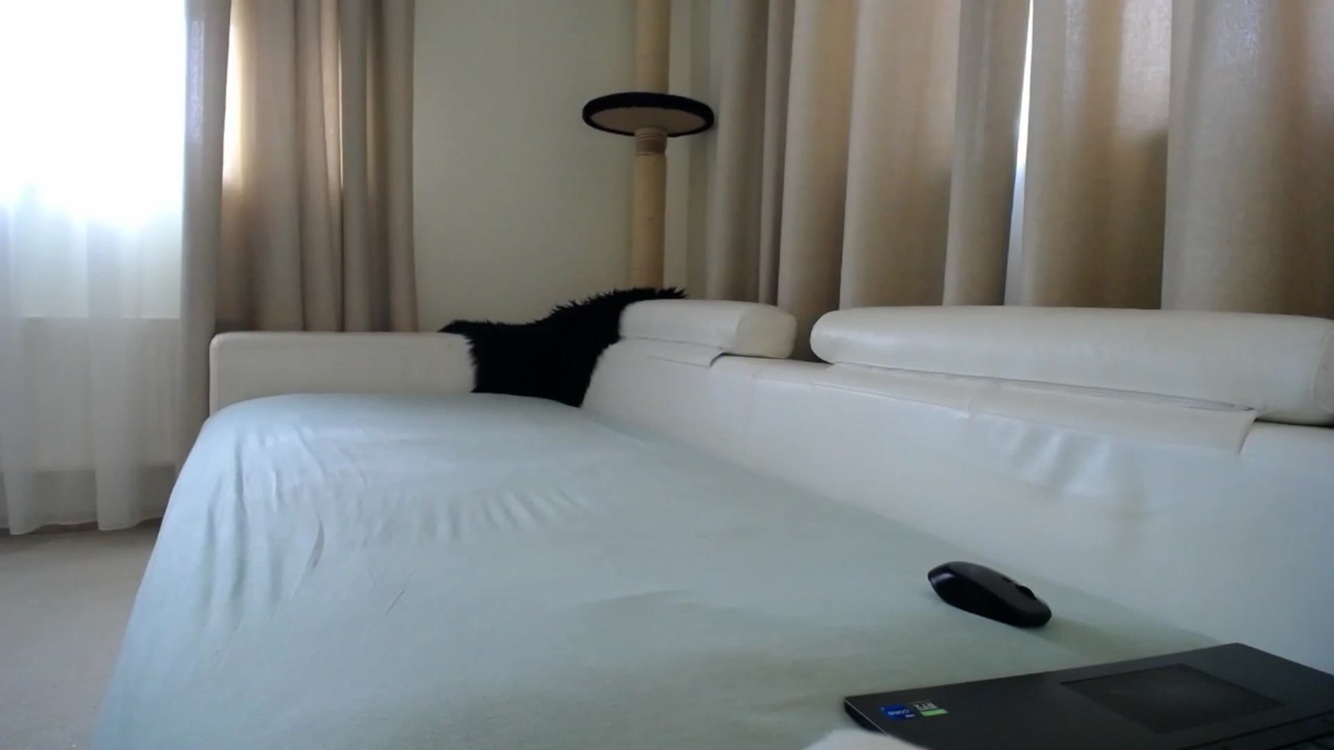 Gallery image thumbnail from EmilyTease's myfreecams stream on, 01/15/2026, 12:05 image 10 of 20