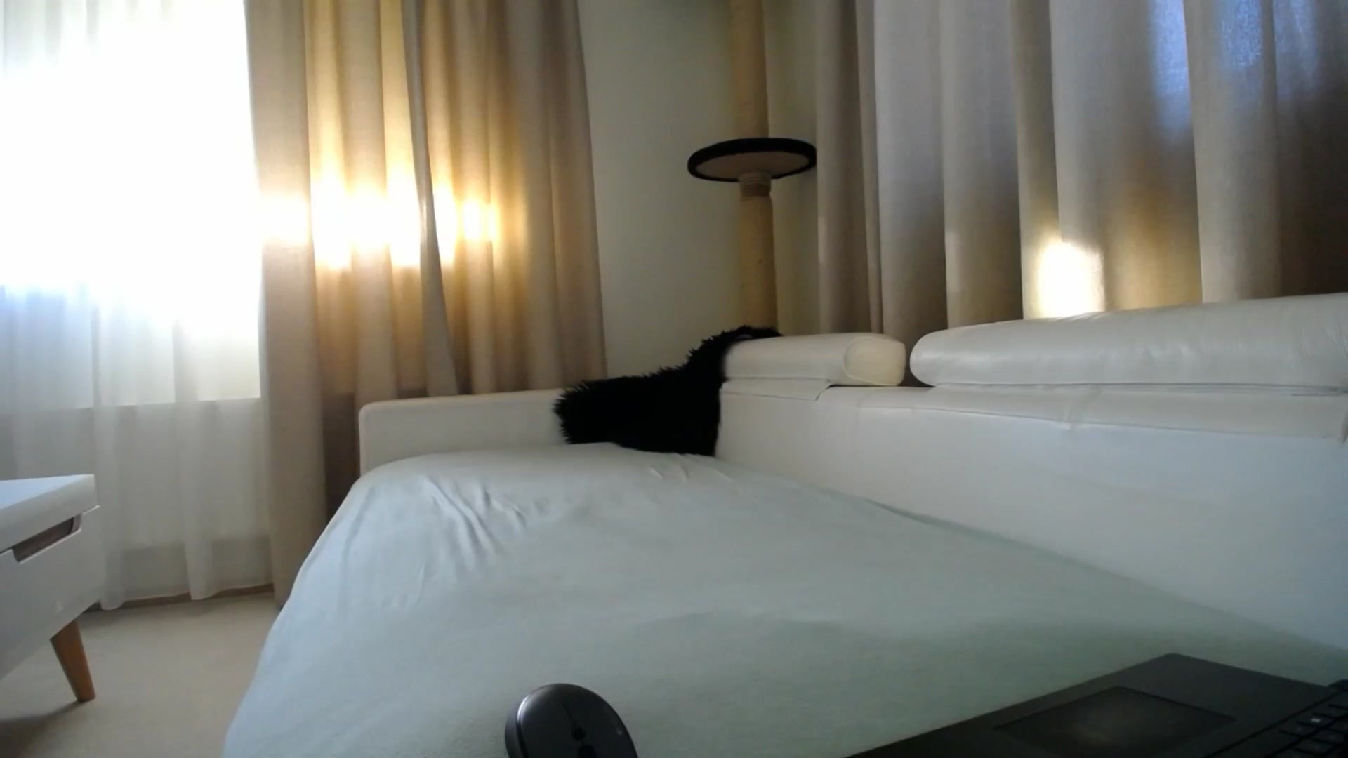 Gallery image thumbnail from EmilyTease's myfreecams stream on, 01/20/2026, 13:26 image 15 of 20