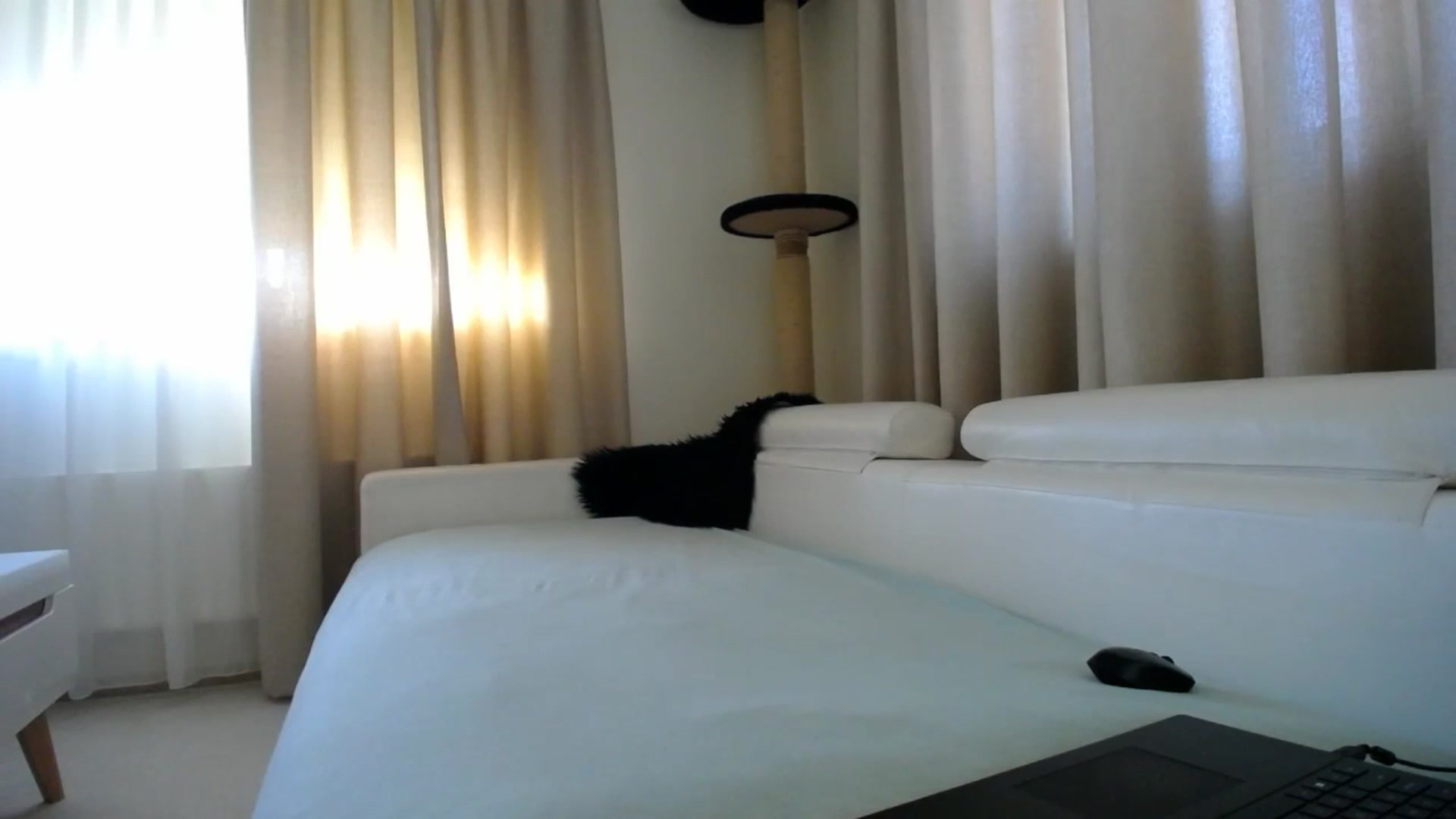 Gallery image thumbnail from EmilyTease's myfreecams stream on, 01/20/2026, 13:26 image 2 of 20