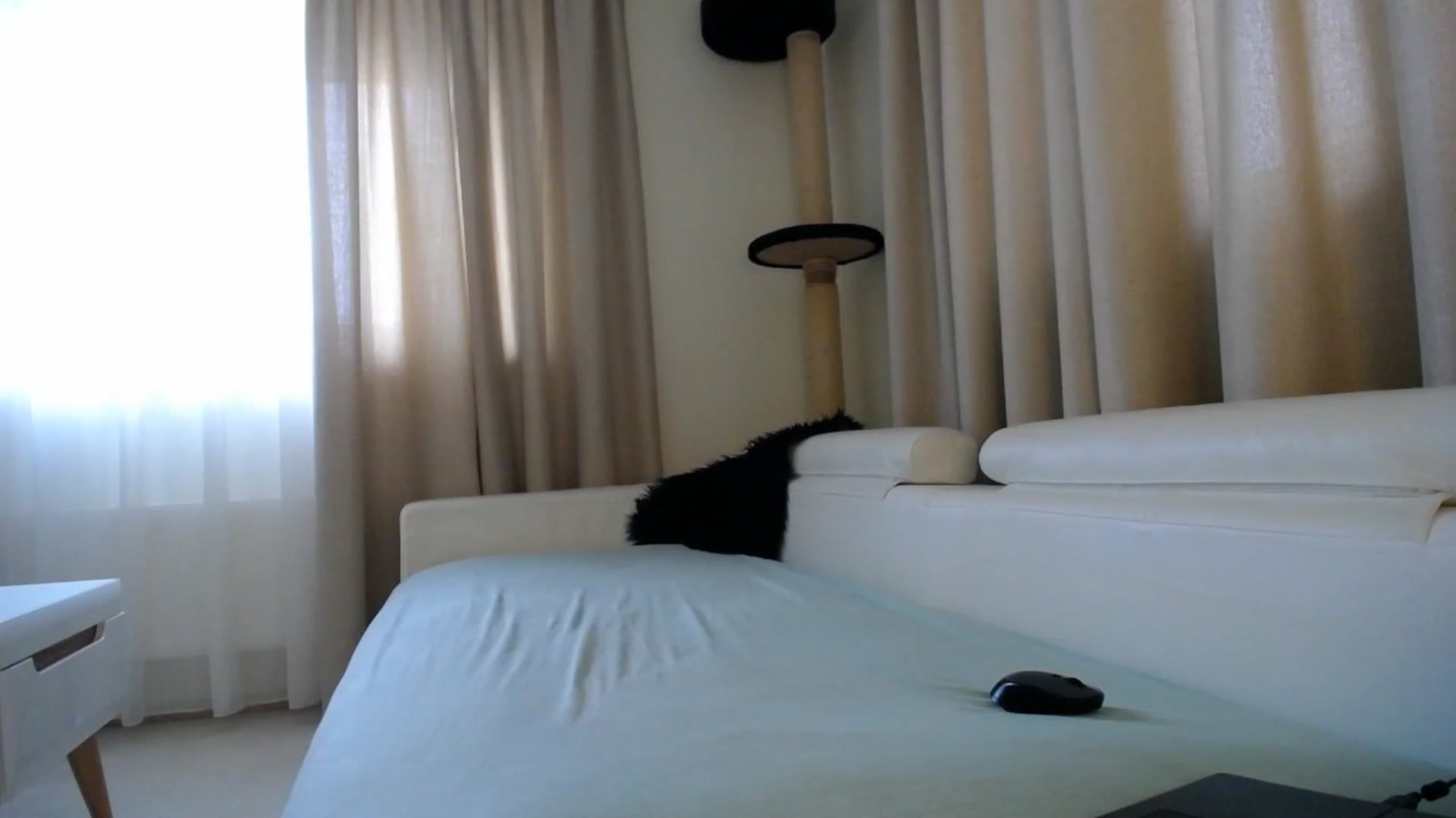 Gallery image thumbnail from EmilyTease's myfreecams stream on, 01/22/2026, 13:47 image 4 of 20