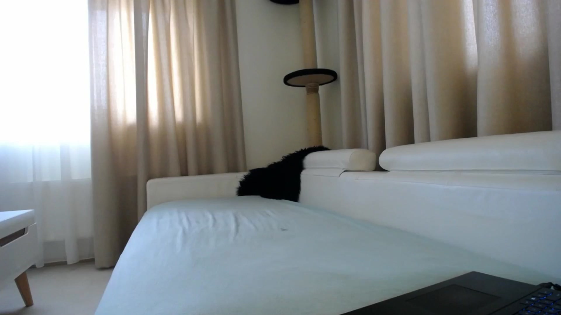 Gallery image thumbnail from EmilyTease's myfreecams stream on, 01/23/2026, 13:50 image 2 of 20